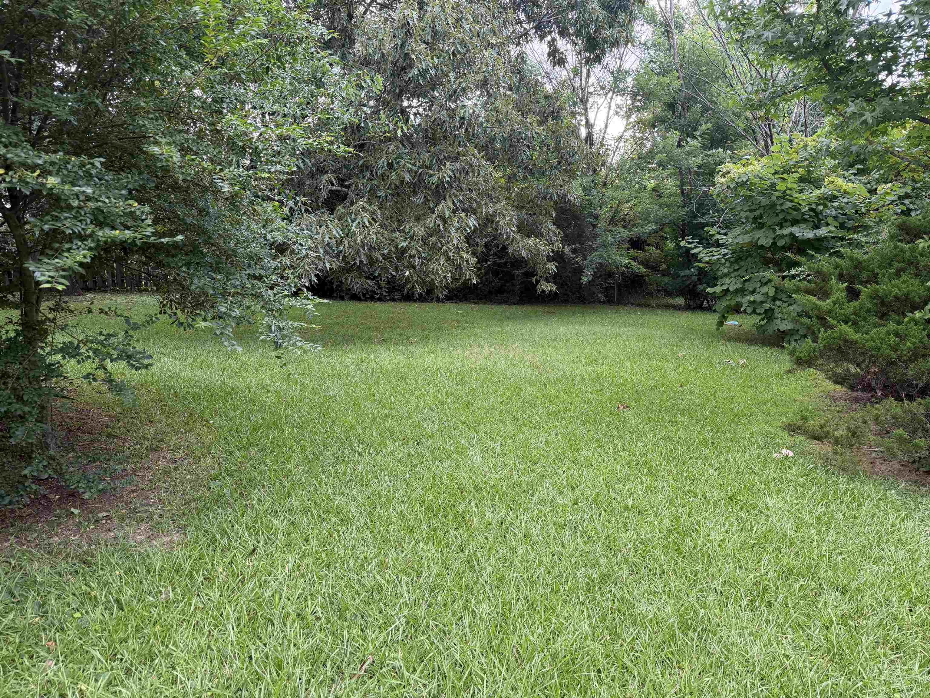 506 S Eve  Mena, AR