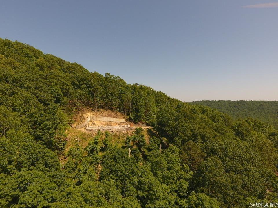 12 Lakeview  Mount Ida, AR