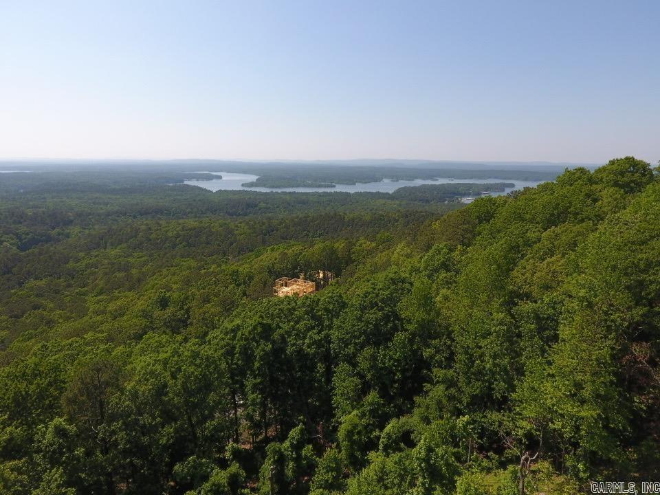 12 Lakeview  Mount Ida, AR