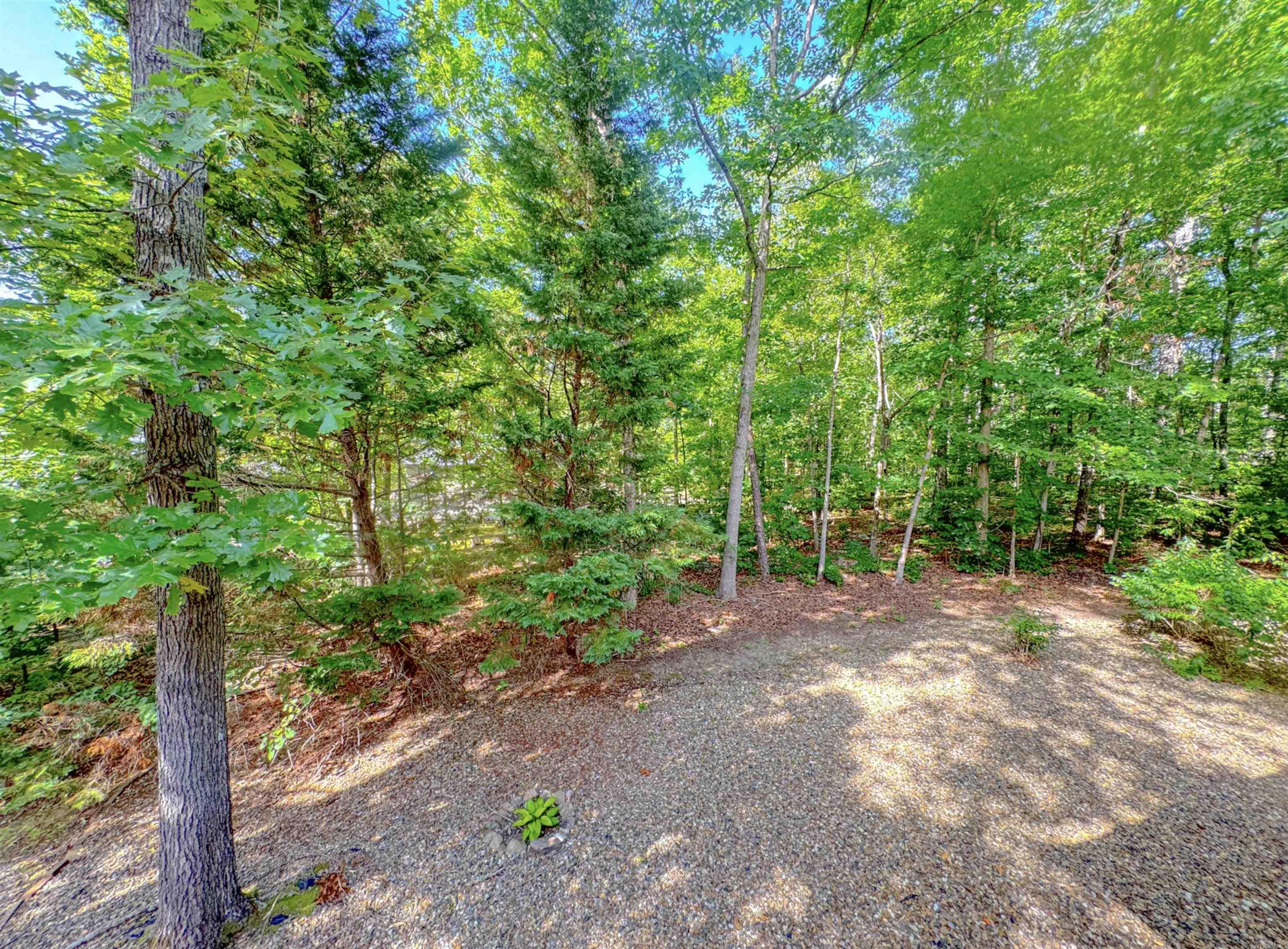 19 Rollo  Hot Springs Village, AR
