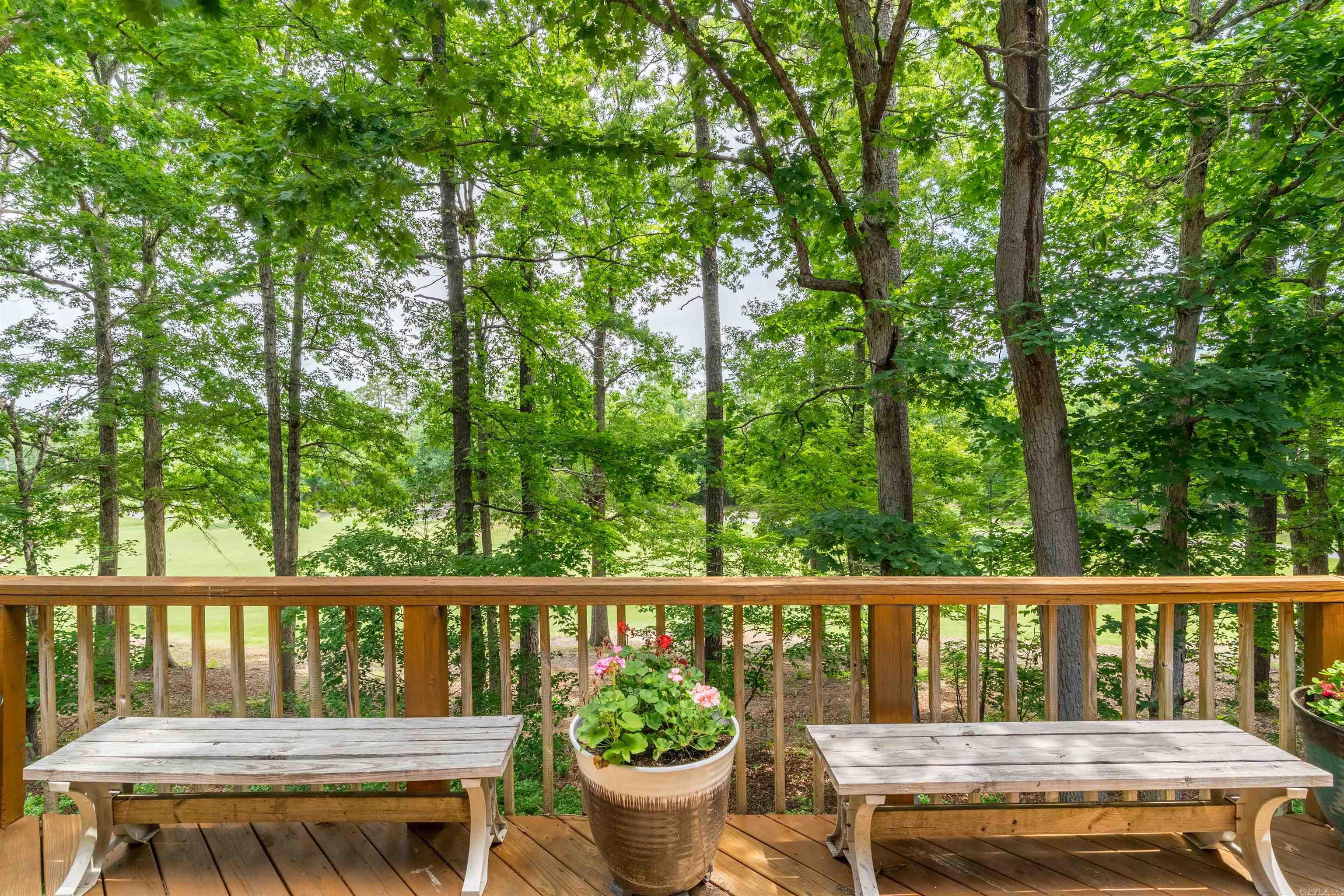 4 Quieto  Hot Springs Village, AR