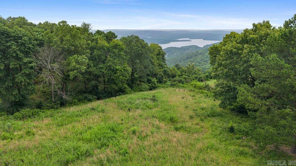 000 E Mountain  Bee Branch, AR