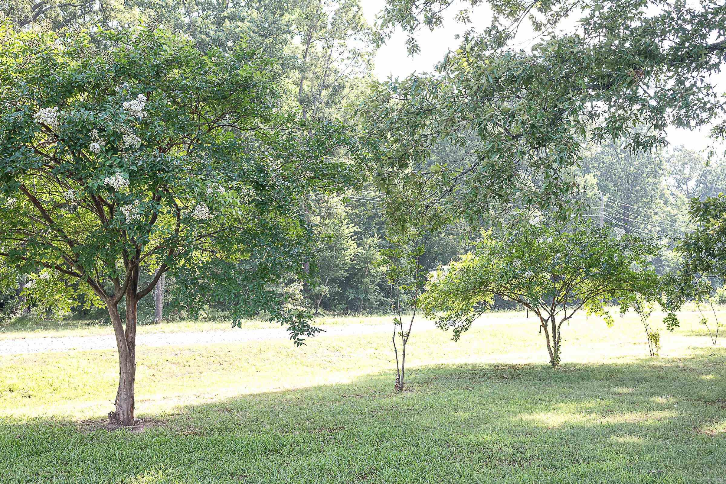 13717 Terry  Ward, AR
