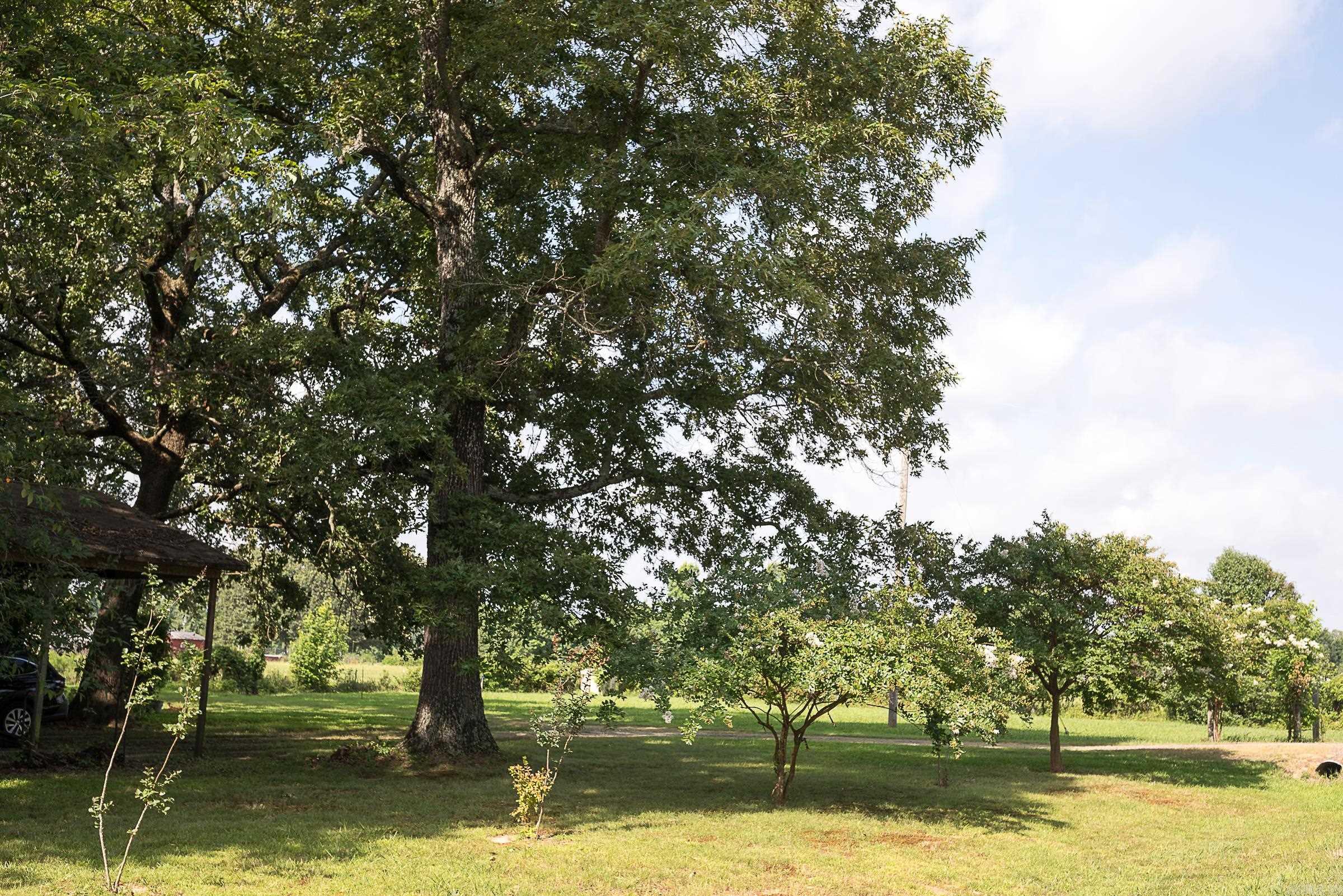 13717 Terry  Ward, AR