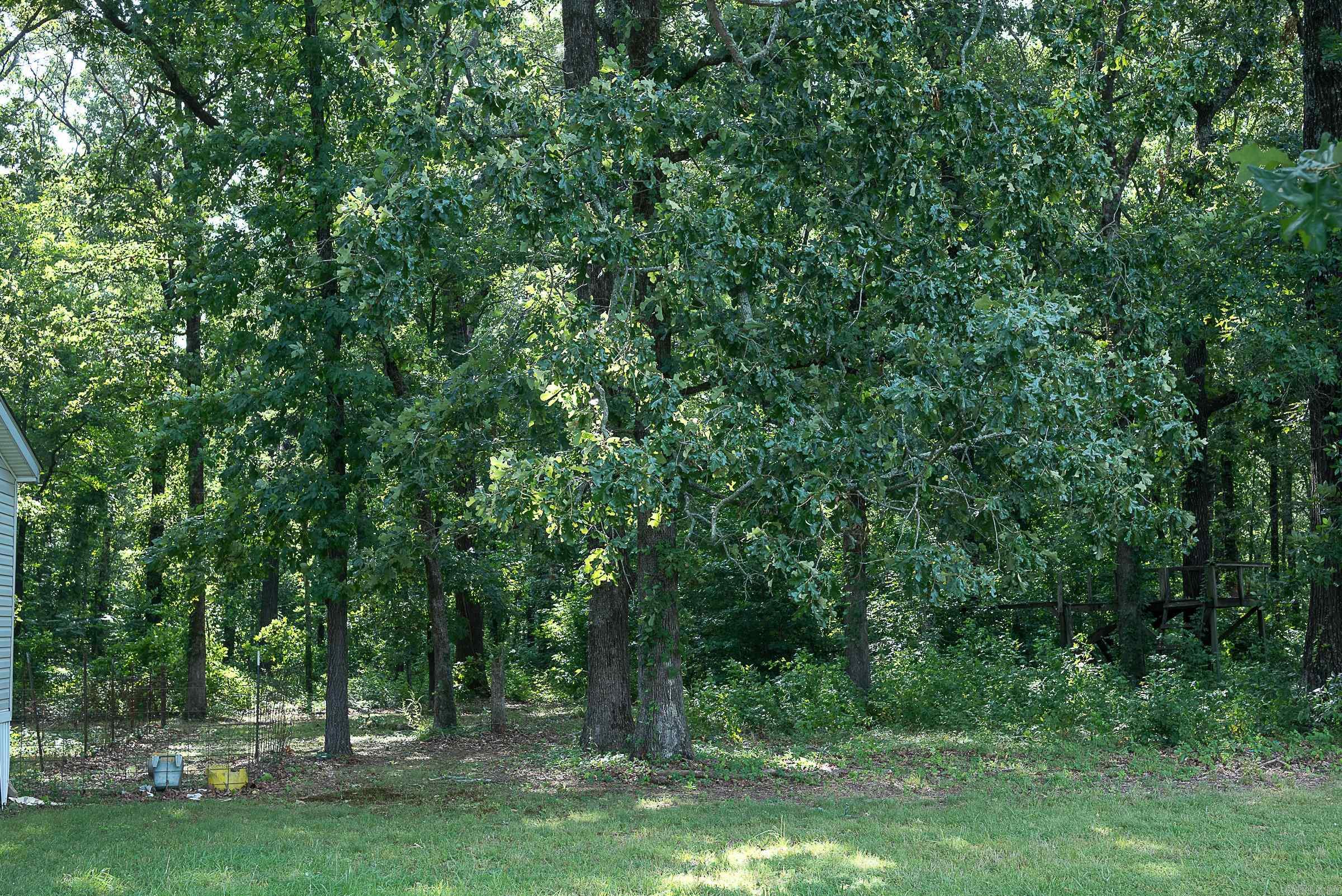 13717 Terry  Ward, AR