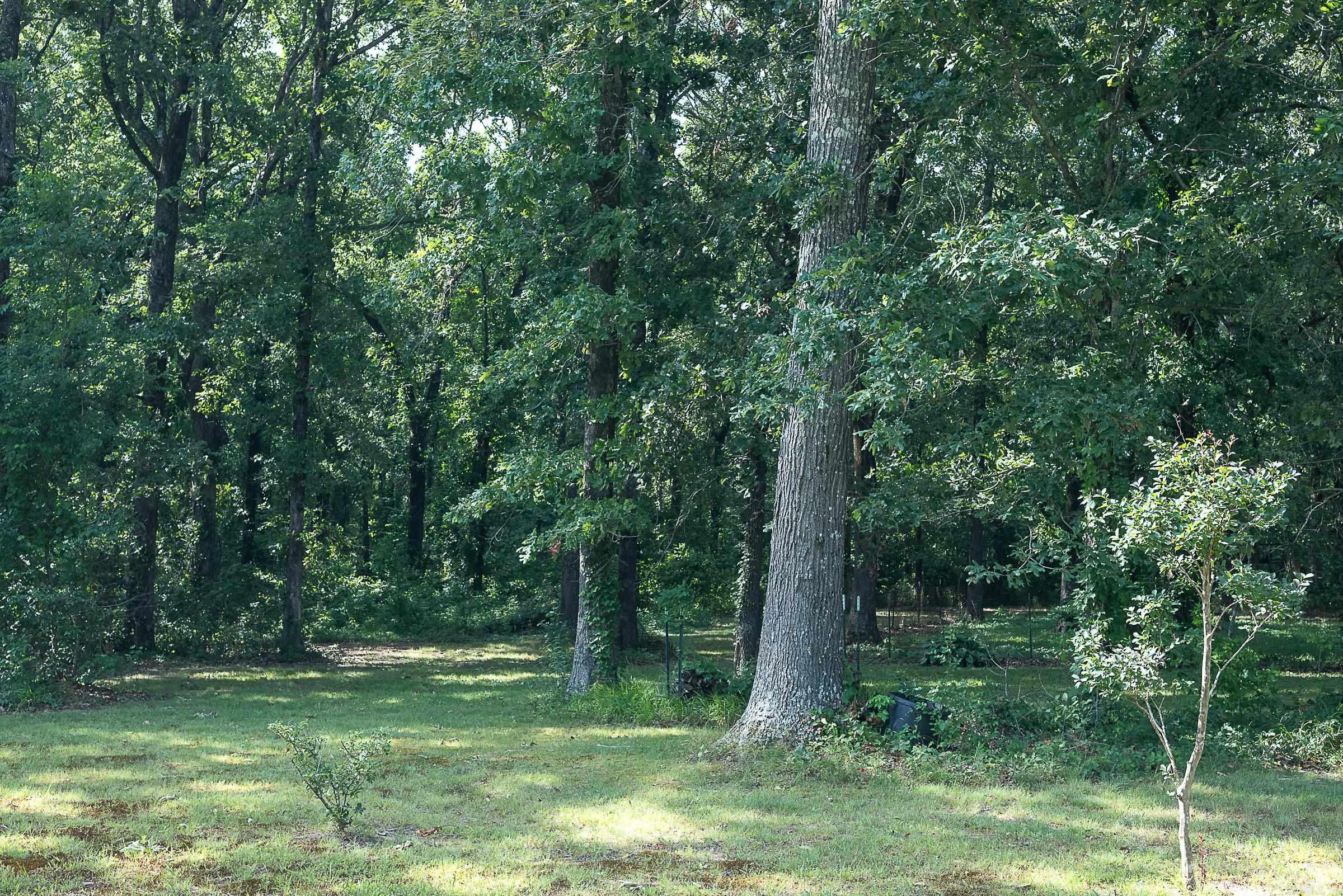 13717 Terry  Ward, AR