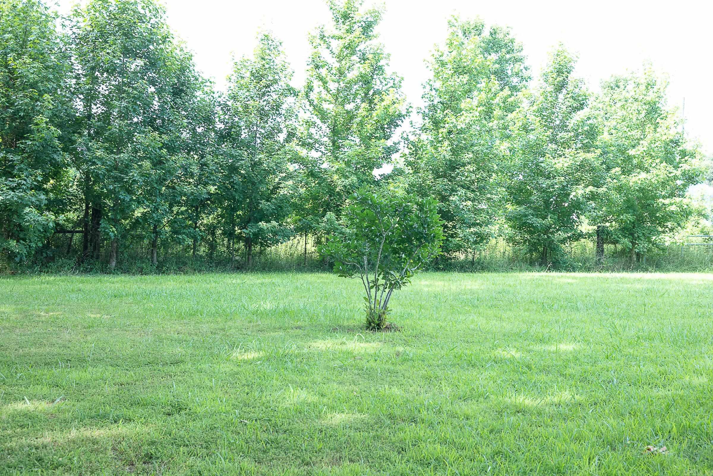 13717 Terry  Ward, AR