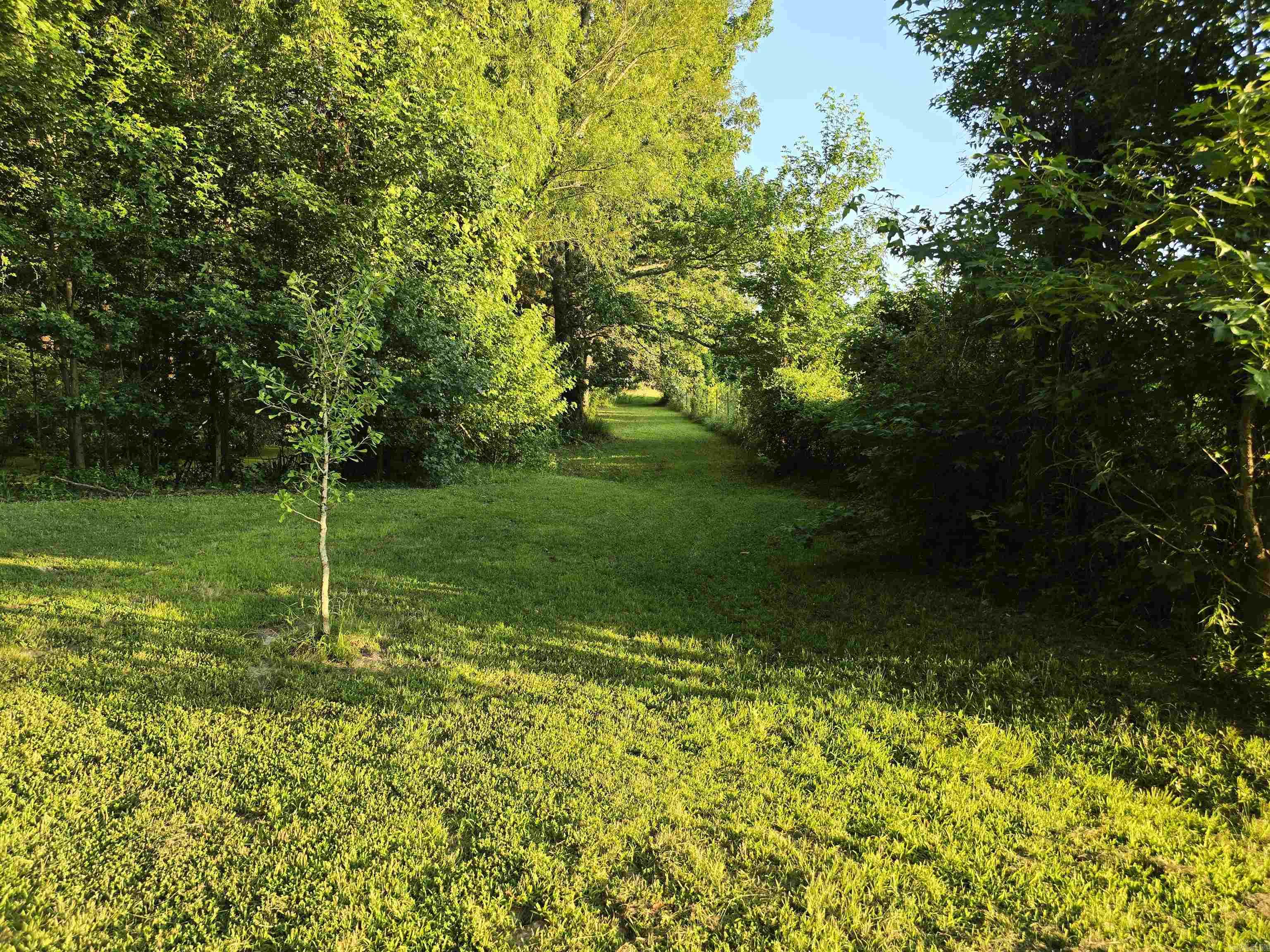 13717 Terry  Ward, AR