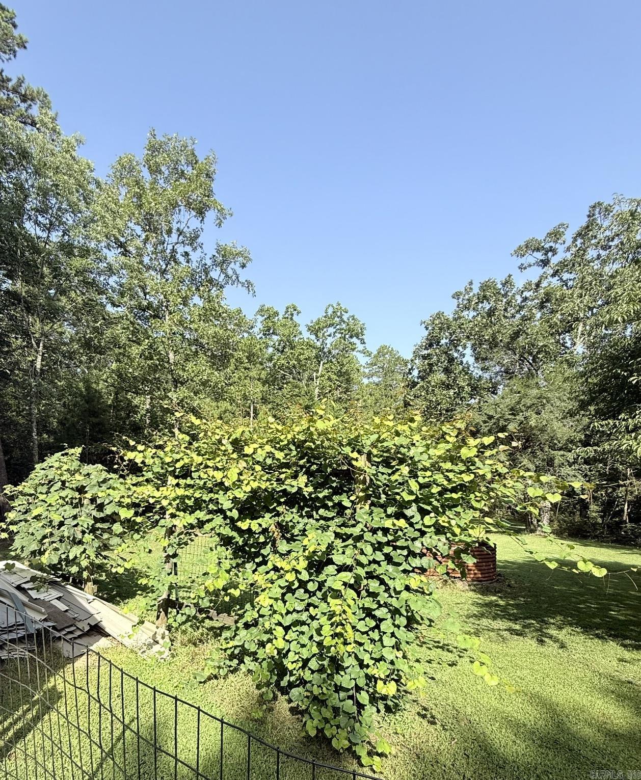 45 Betty Owens  Higden, AR