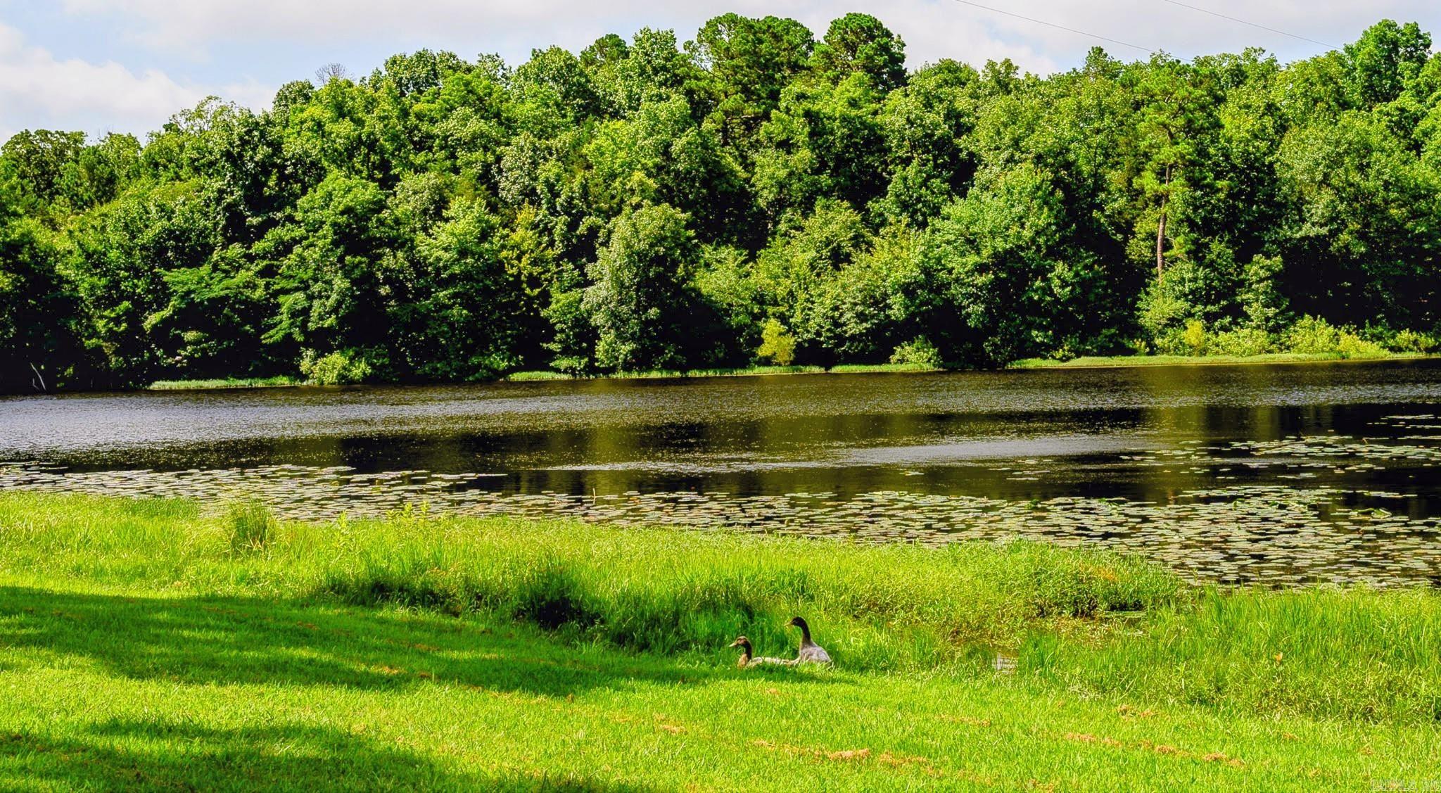 129 Blossom Lane  Mena, AR