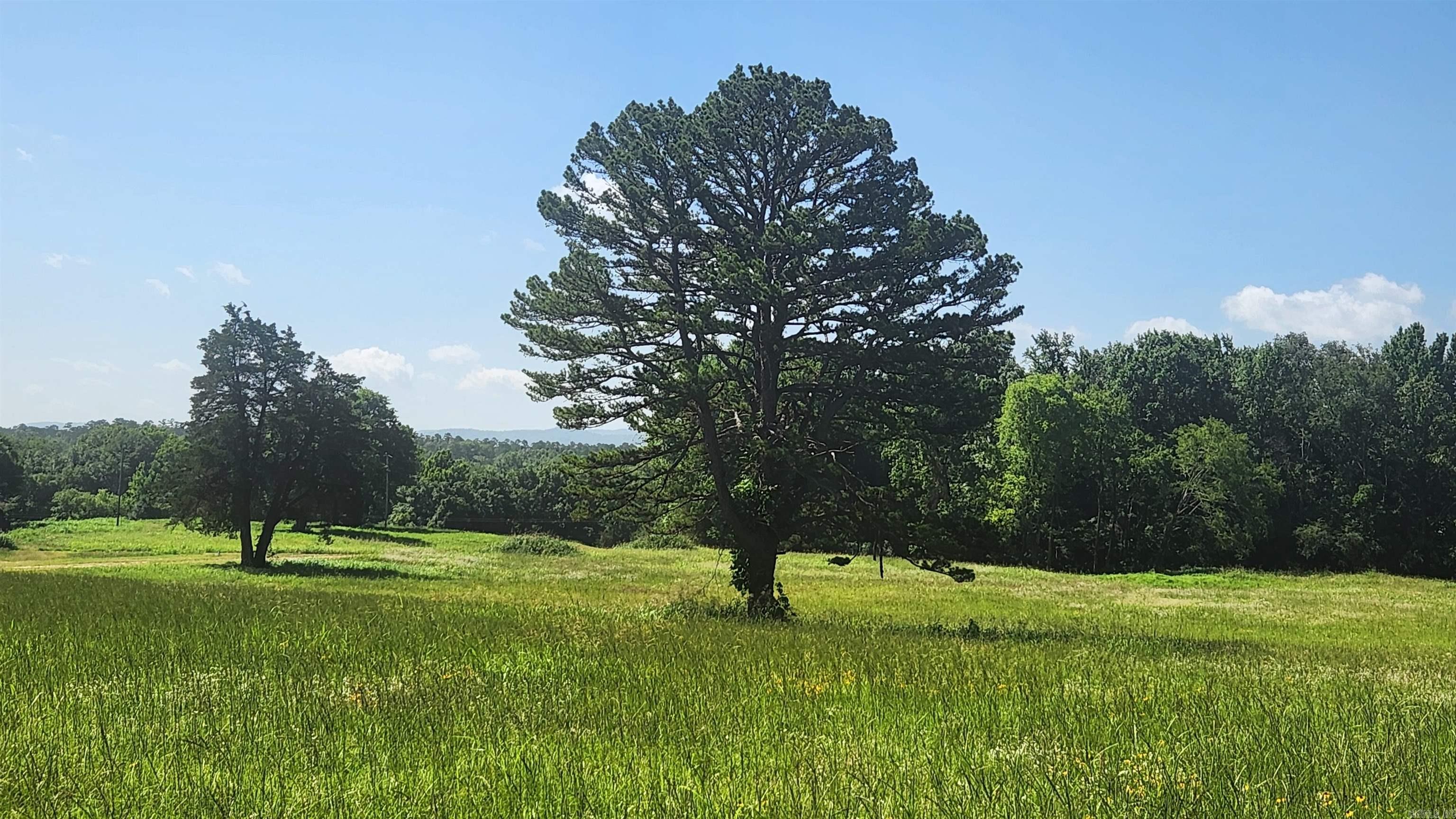 Tract 06 Whittington Homestead  Story, AR