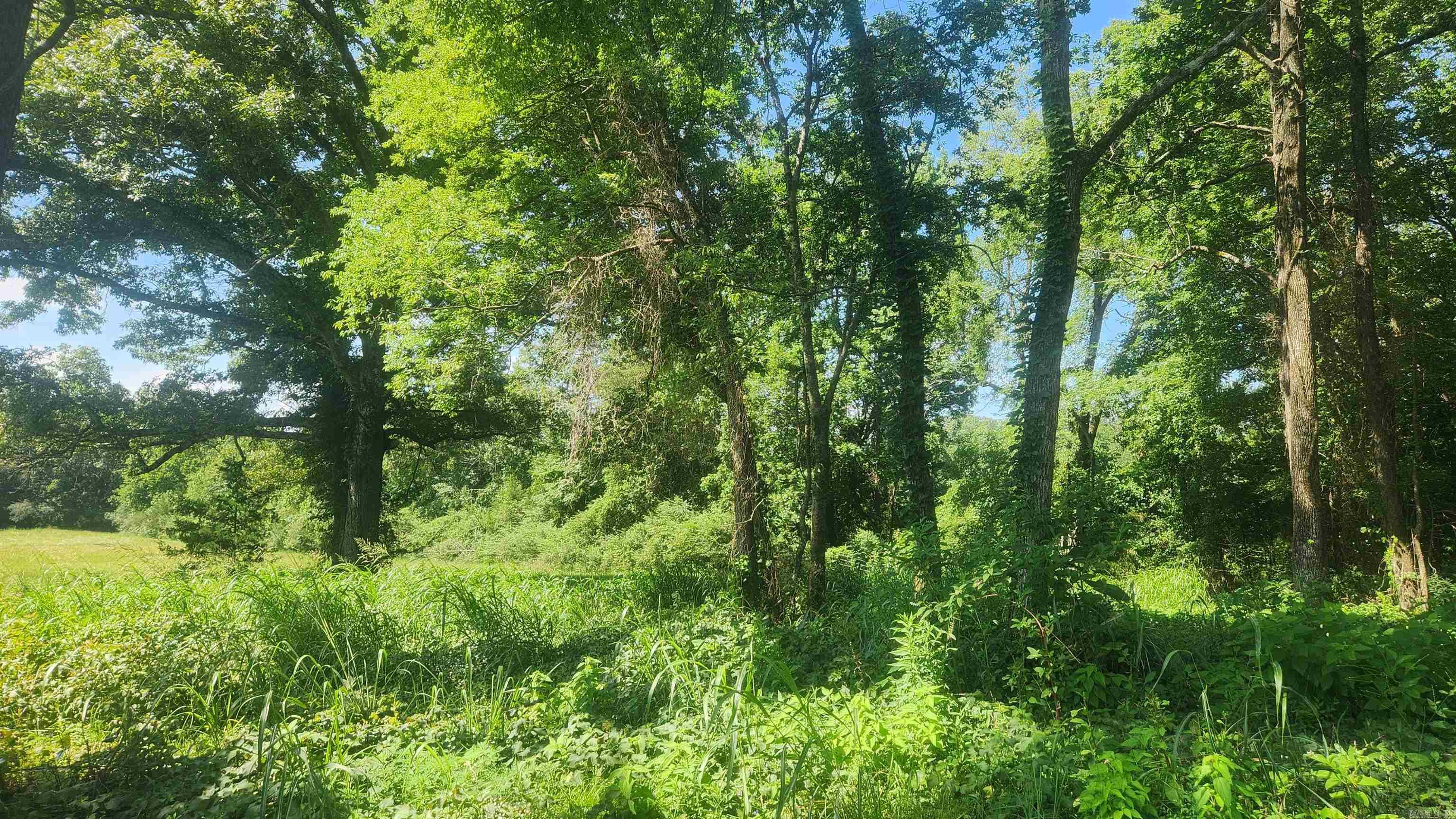Tract 06 Whittington Homestead  Story, AR