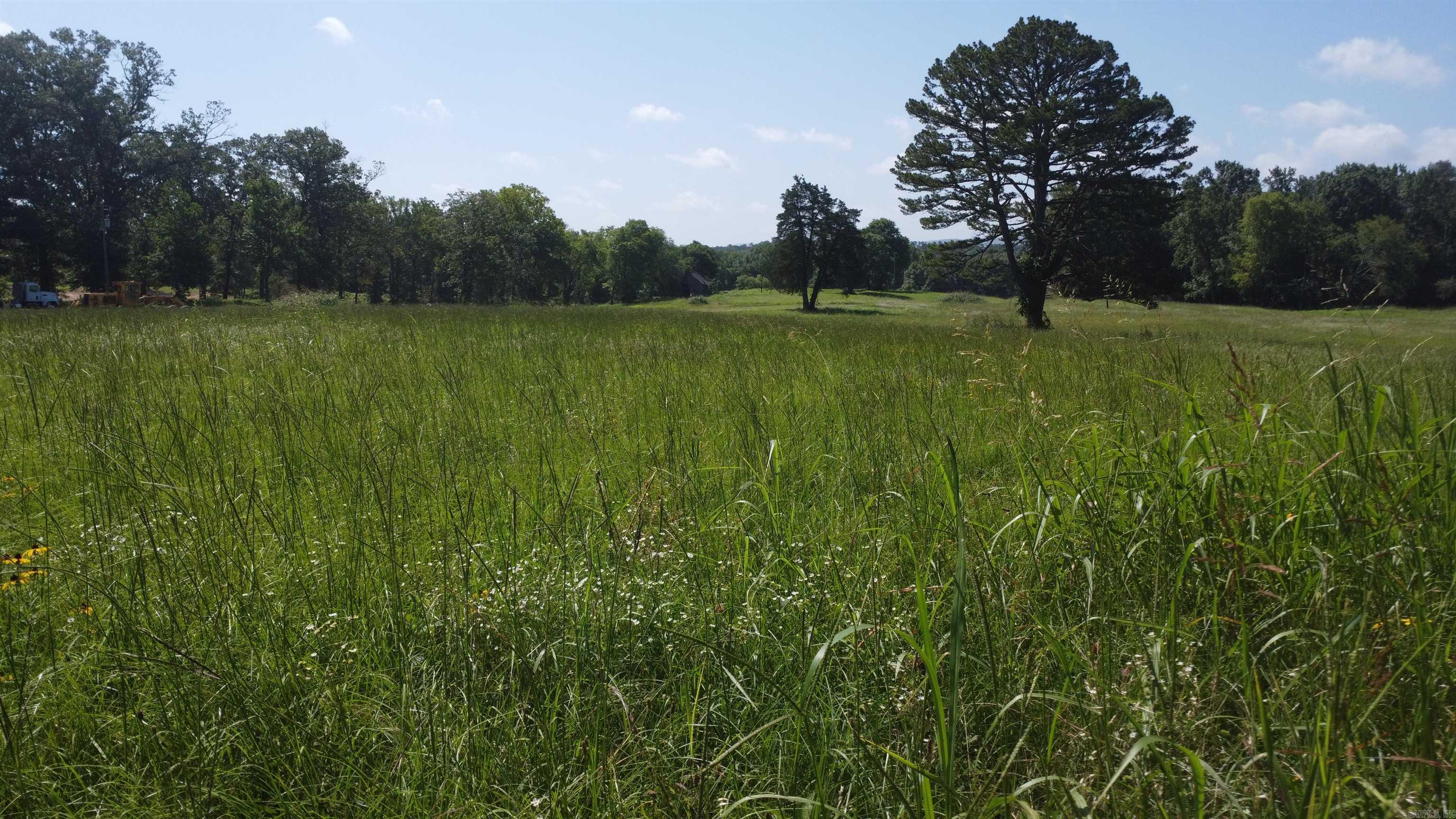 Tract 06 Whittington Homestead  Story, AR