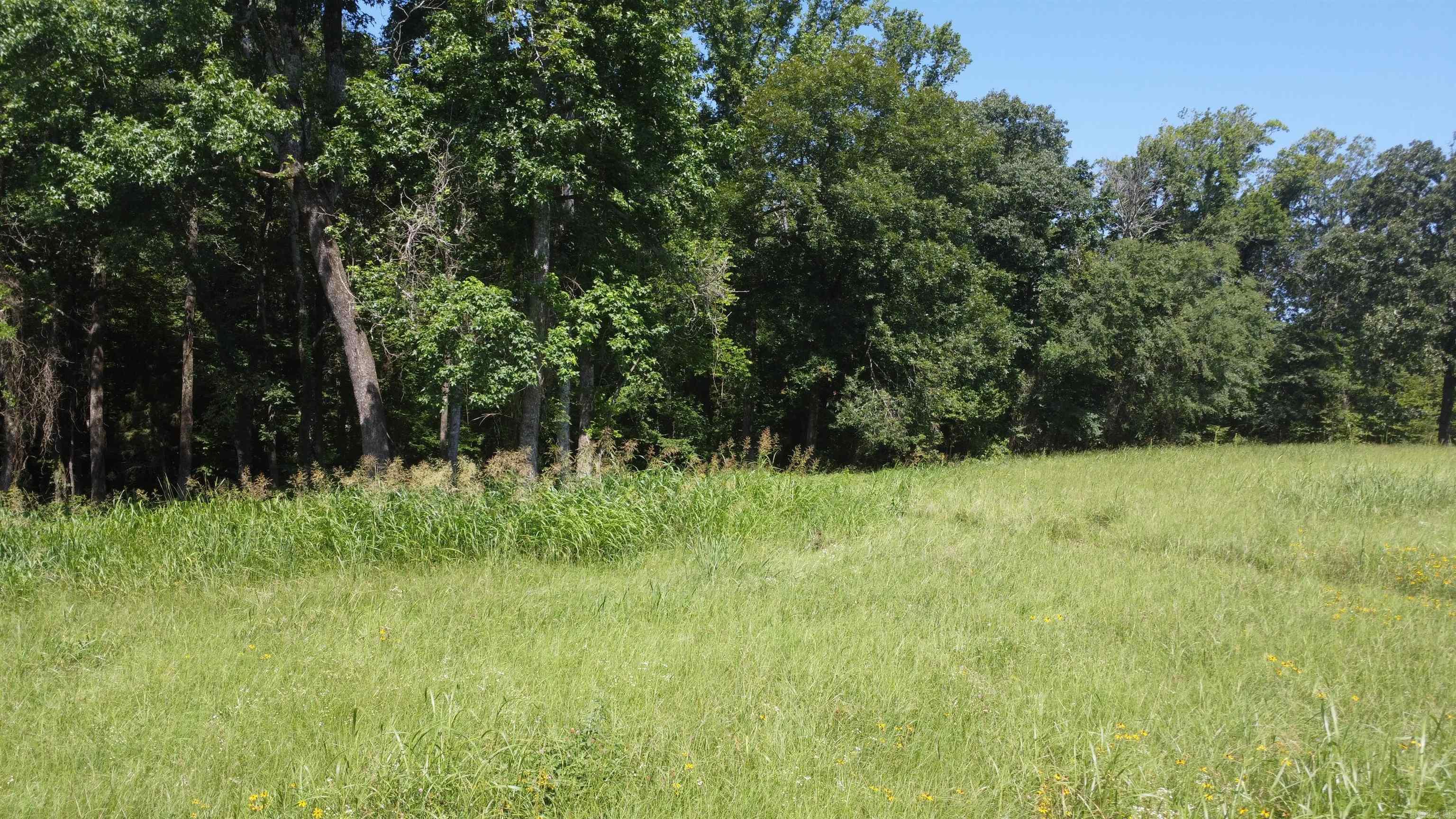 Tract 06 Whittington Homestead  Story, AR