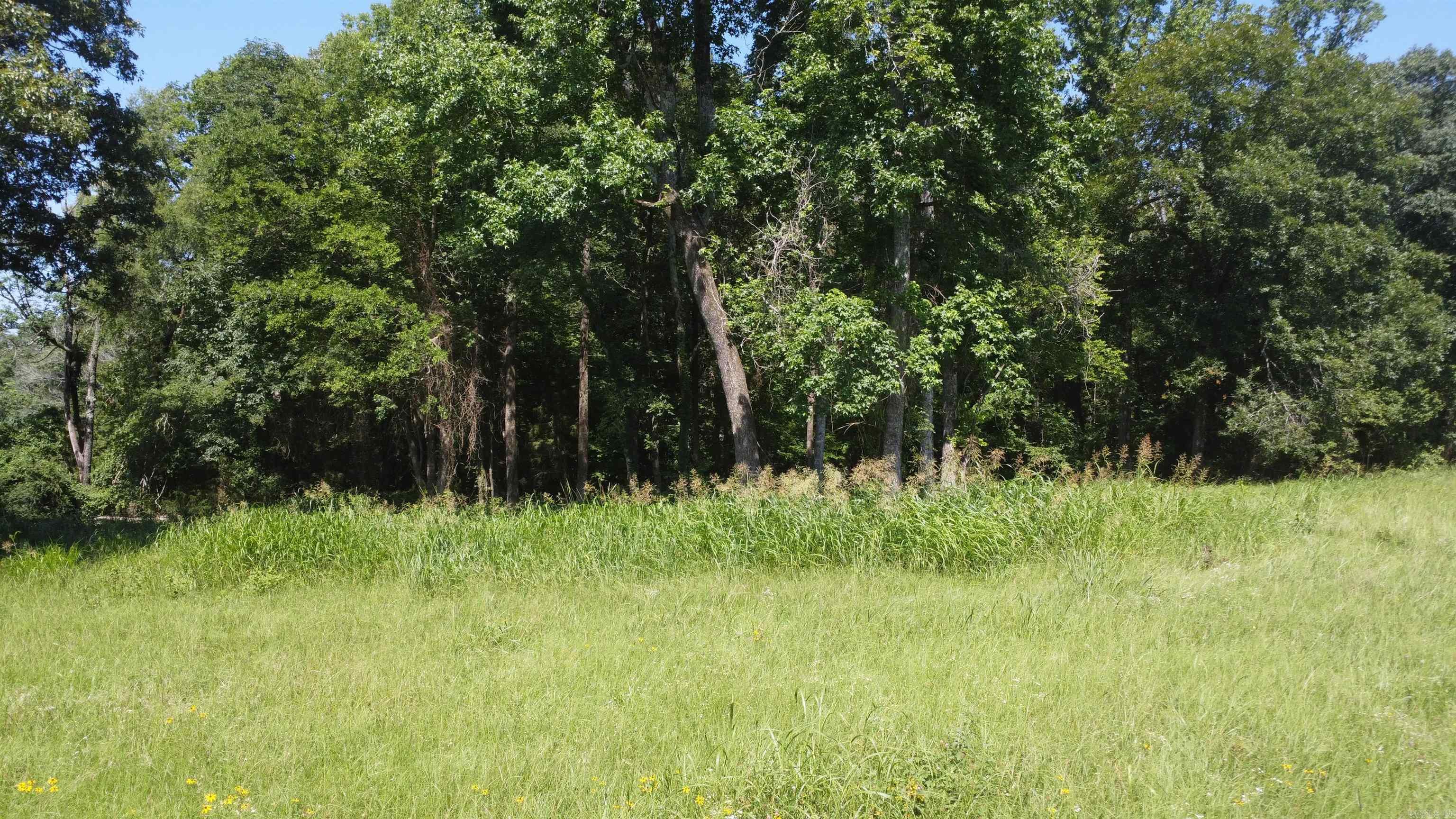 Tract 06 Whittington Homestead  Story, AR