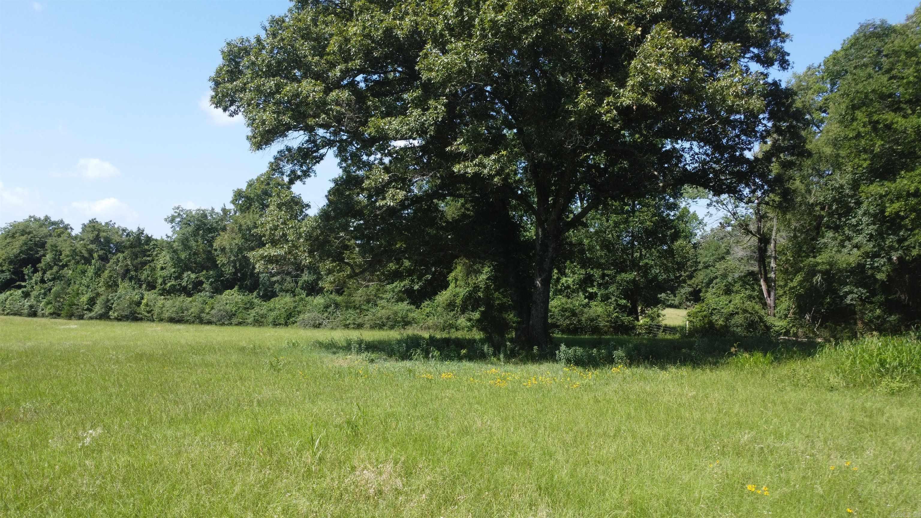 Tract 06 Whittington Homestead  Story, AR