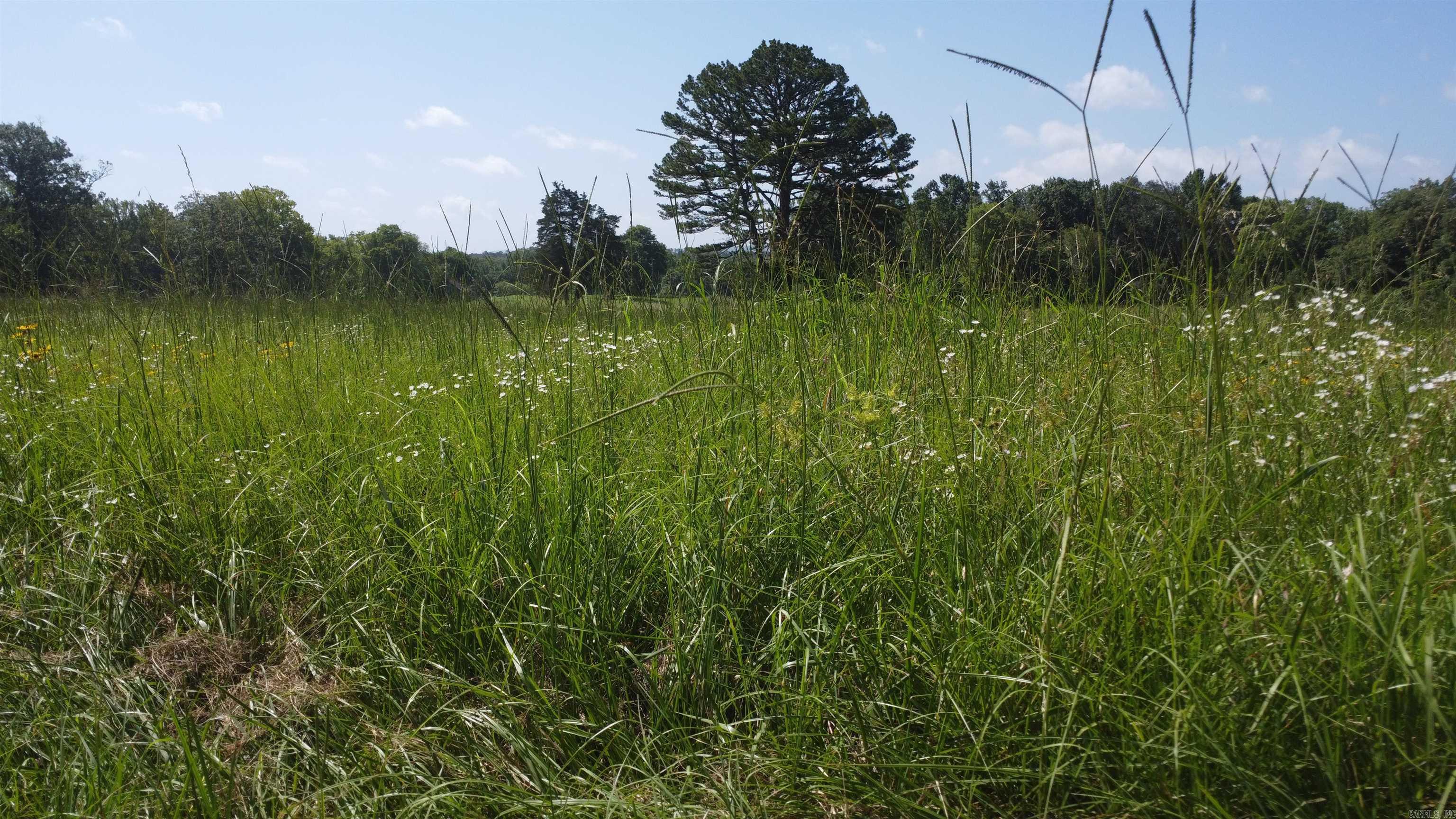 Tract 06 Whittington Homestead  Story, AR
