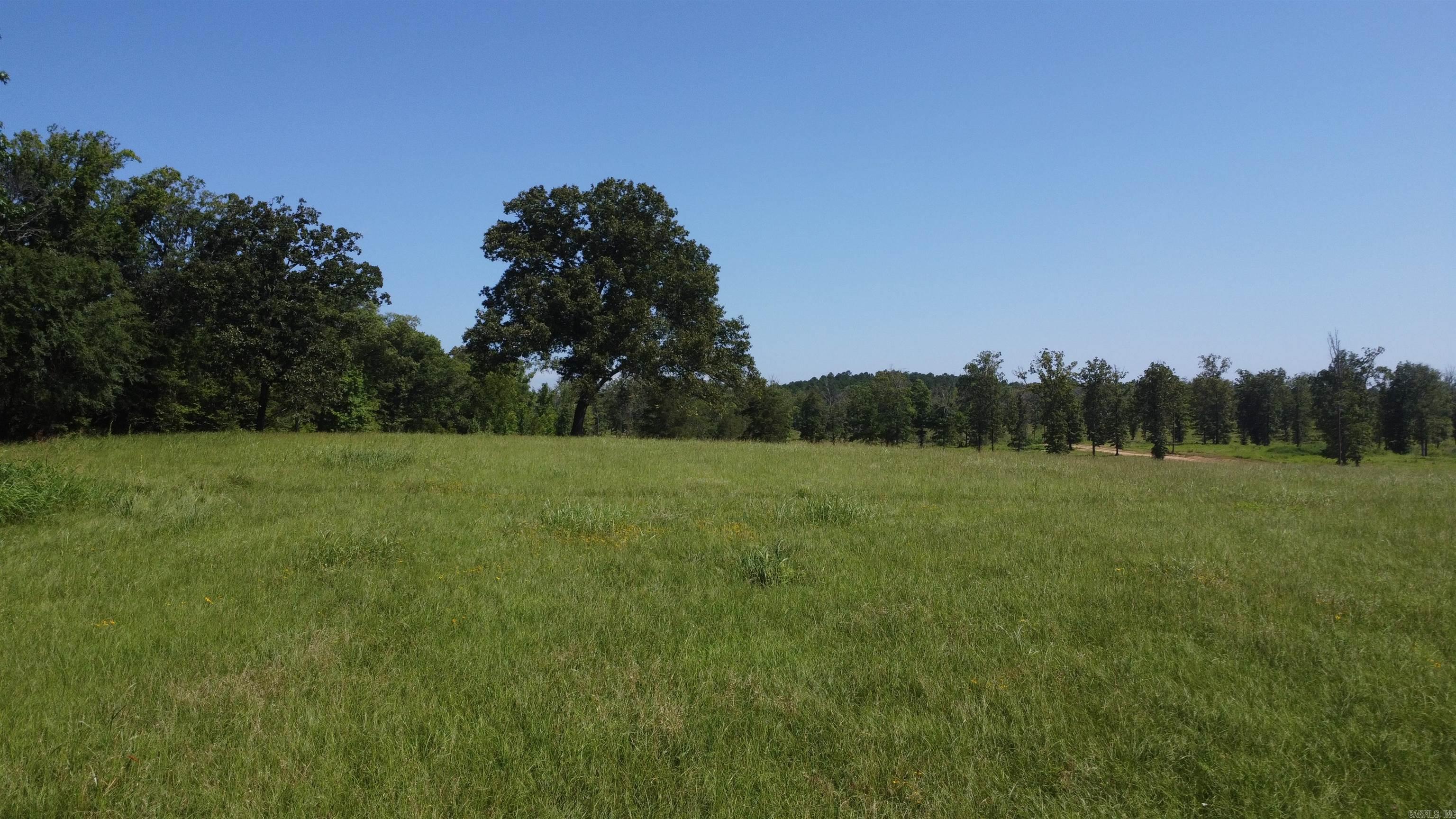 Tract 06 Whittington Homestead  Story, AR