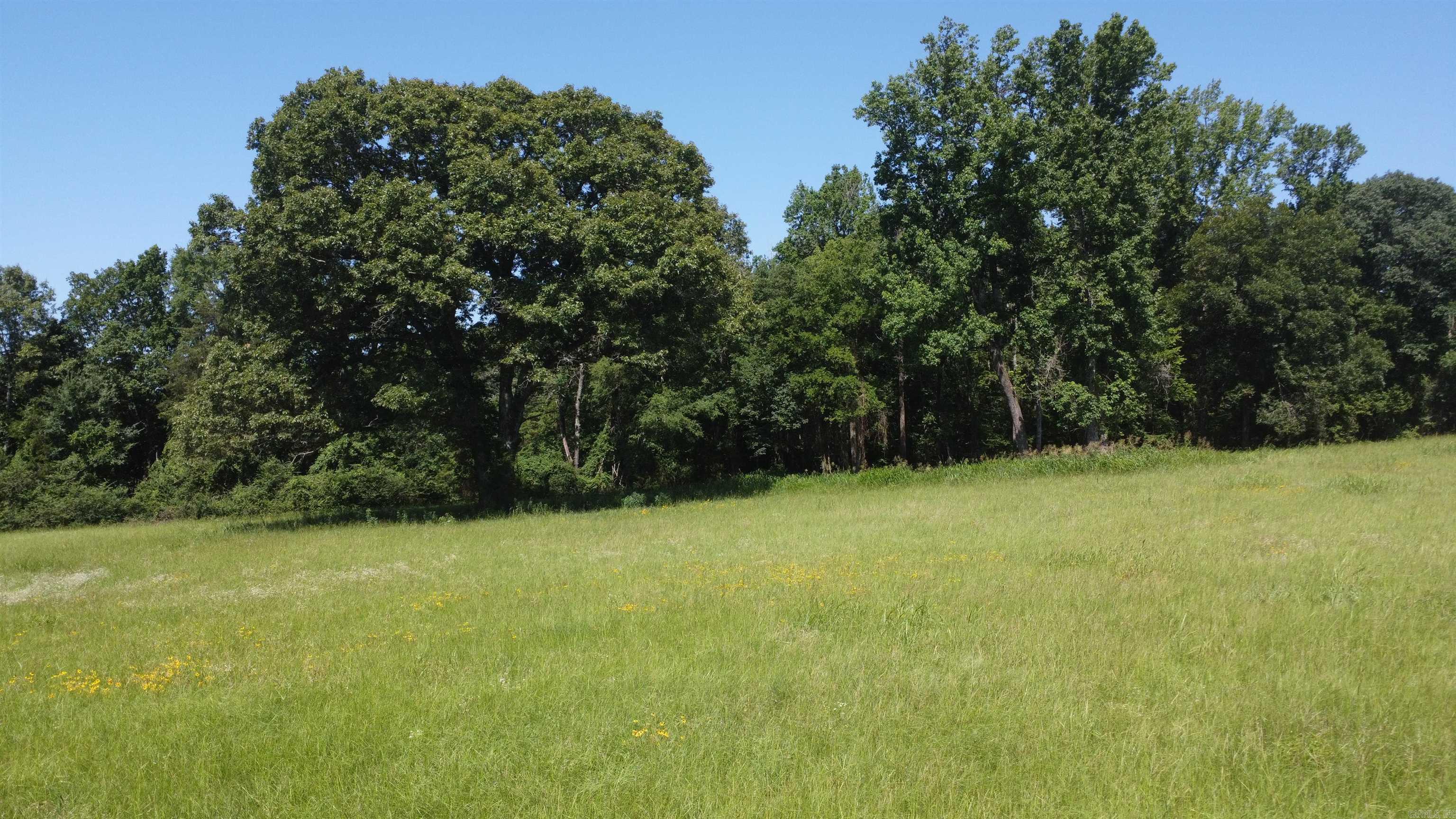 Tract 06 Whittington Homestead  Story, AR