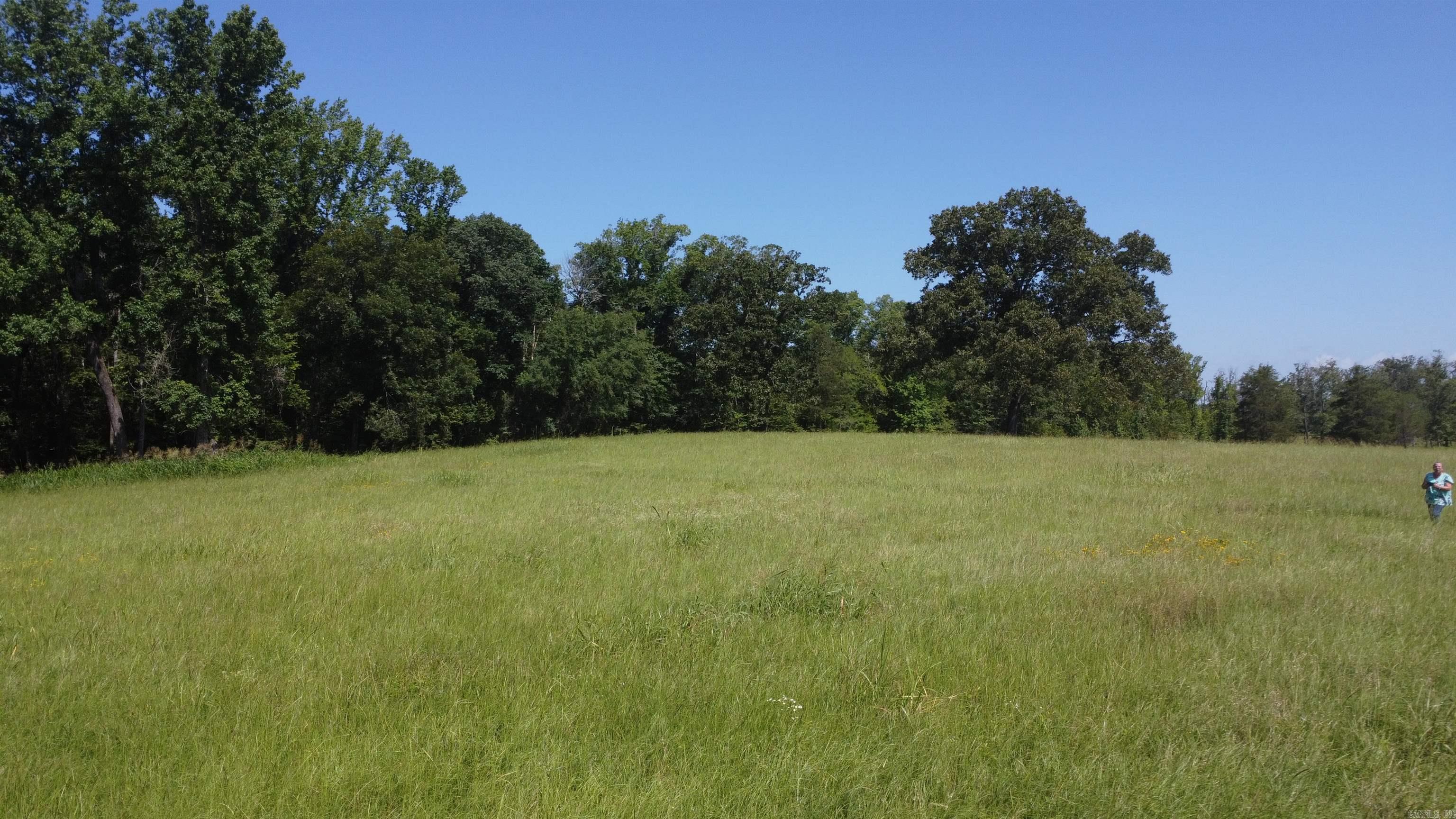 Tract 06 Whittington Homestead  Story, AR