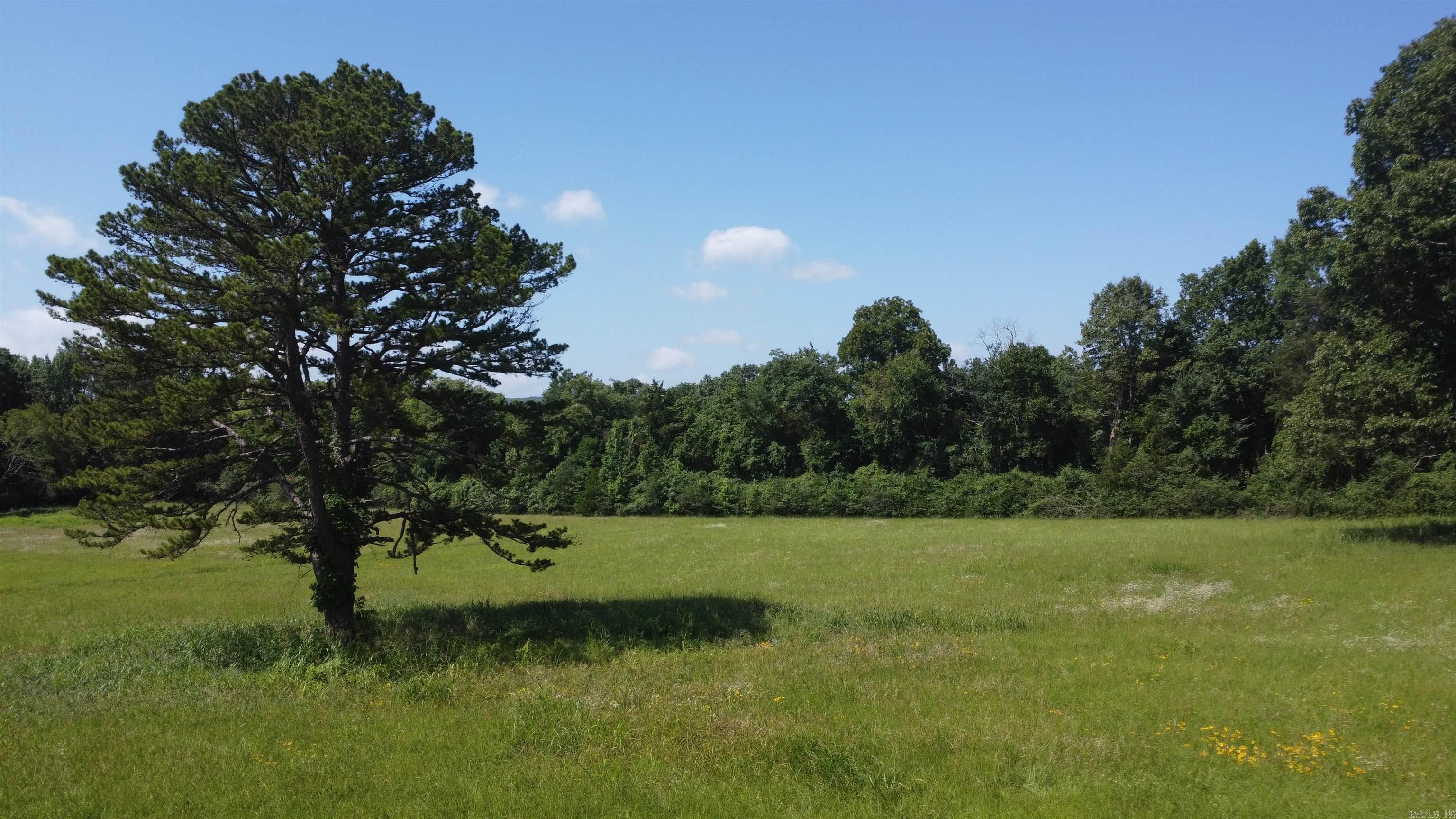 Tract 06 Whittington Homestead  Story, AR