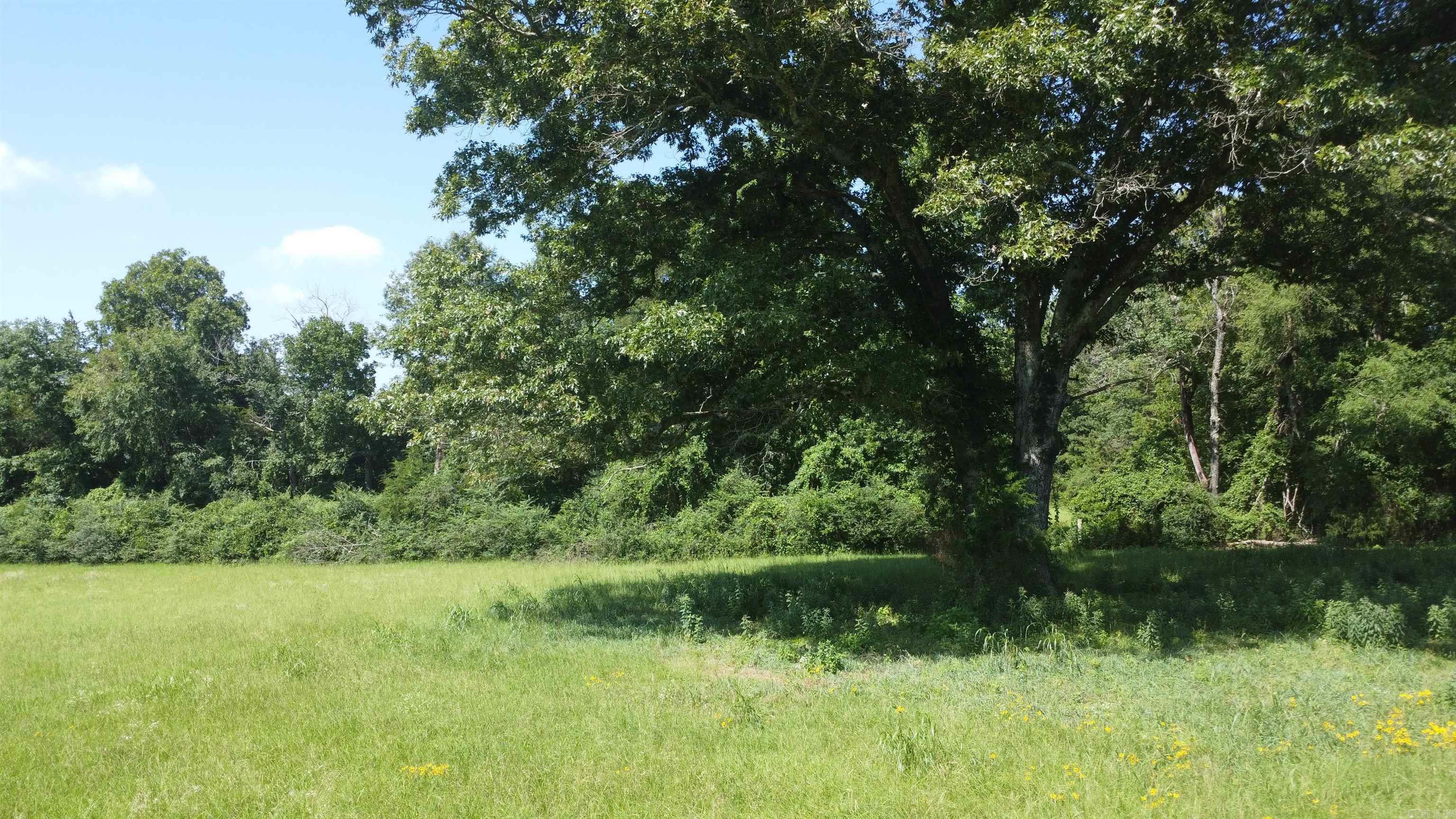 Tract 06 Whittington Homestead  Story, AR