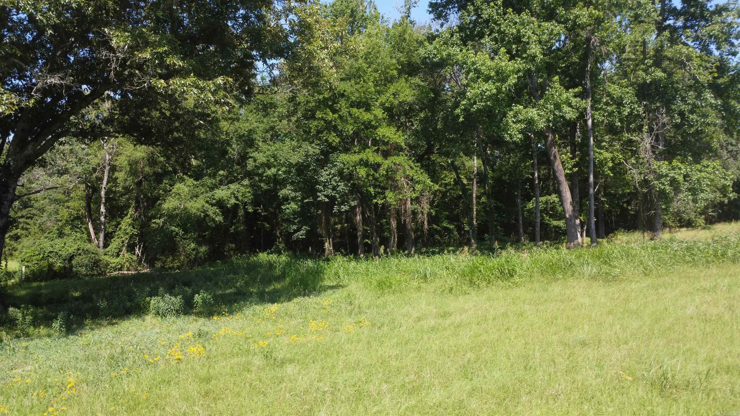 Tract 06 Whittington Homestead  Story, AR