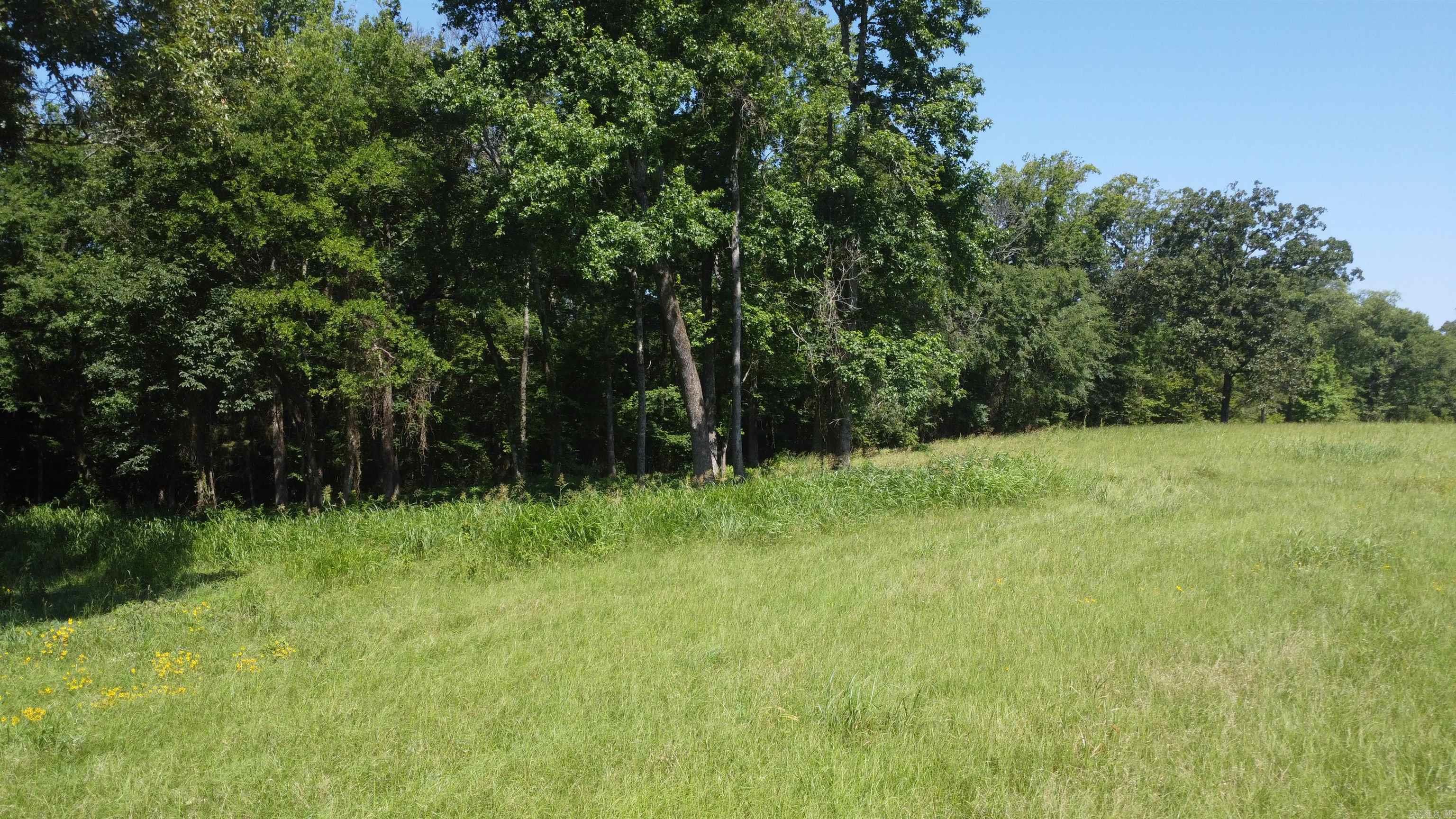 Tract 06 Whittington Homestead  Story, AR