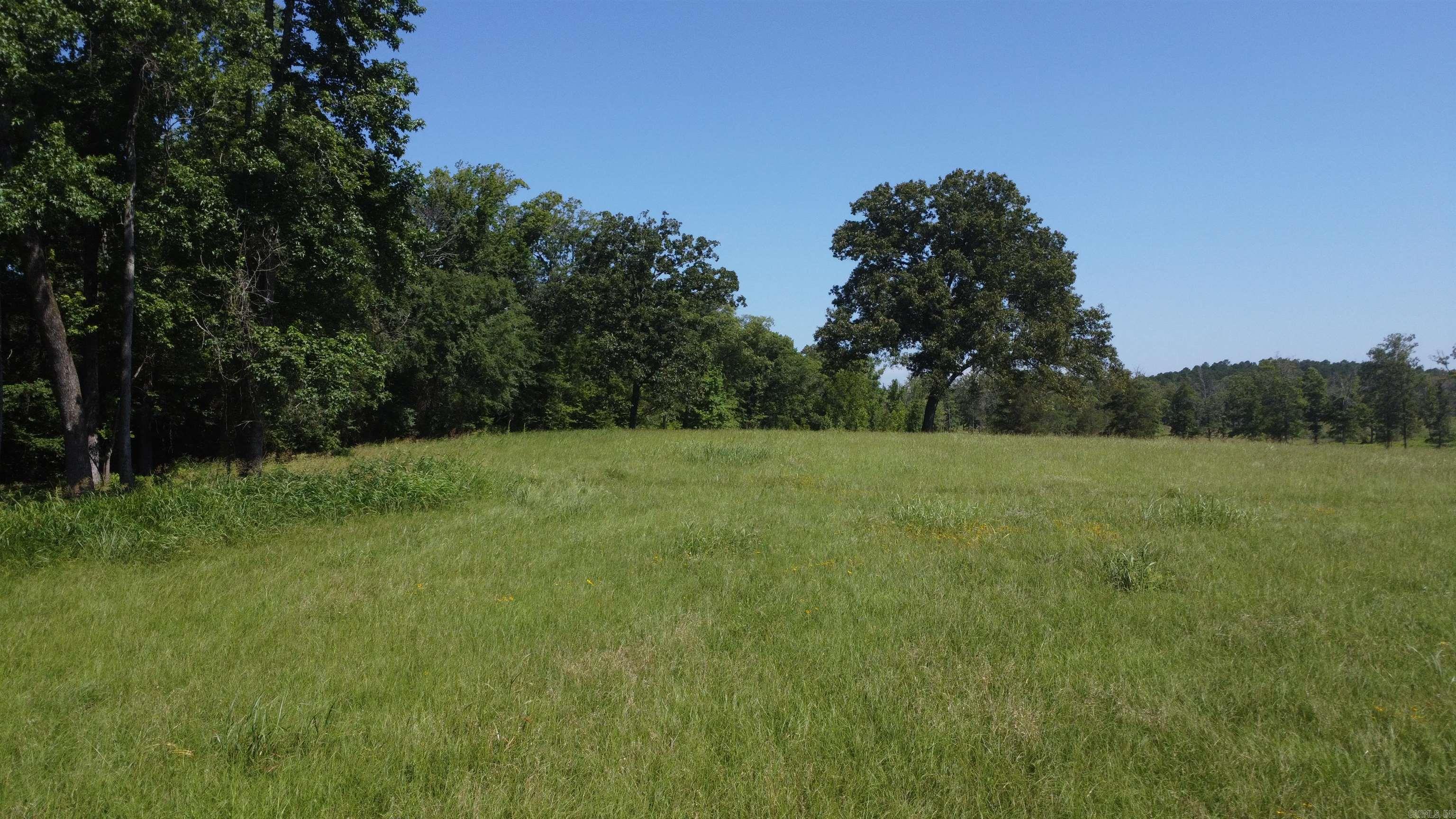 Tract 06 Whittington Homestead  Story, AR
