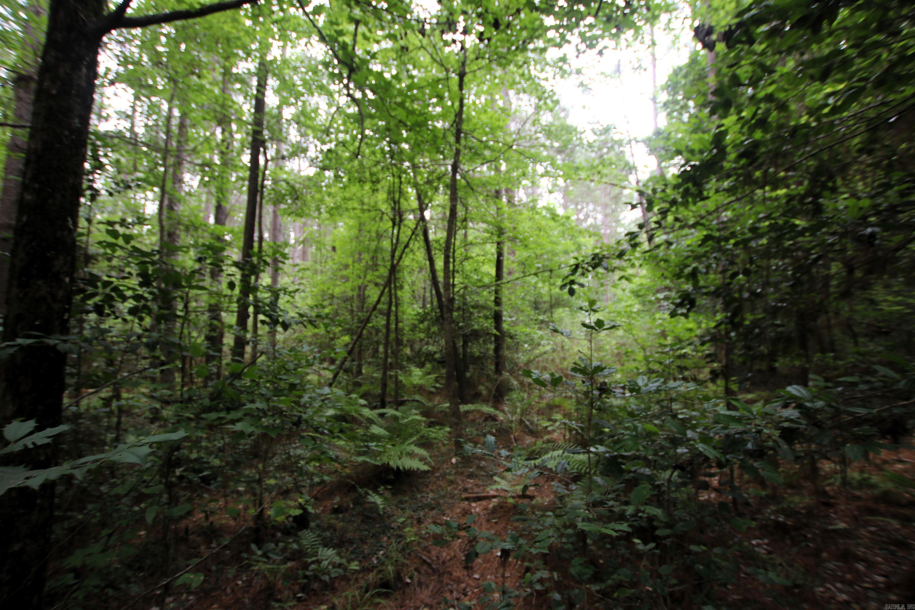 000 270  Malvern, AR