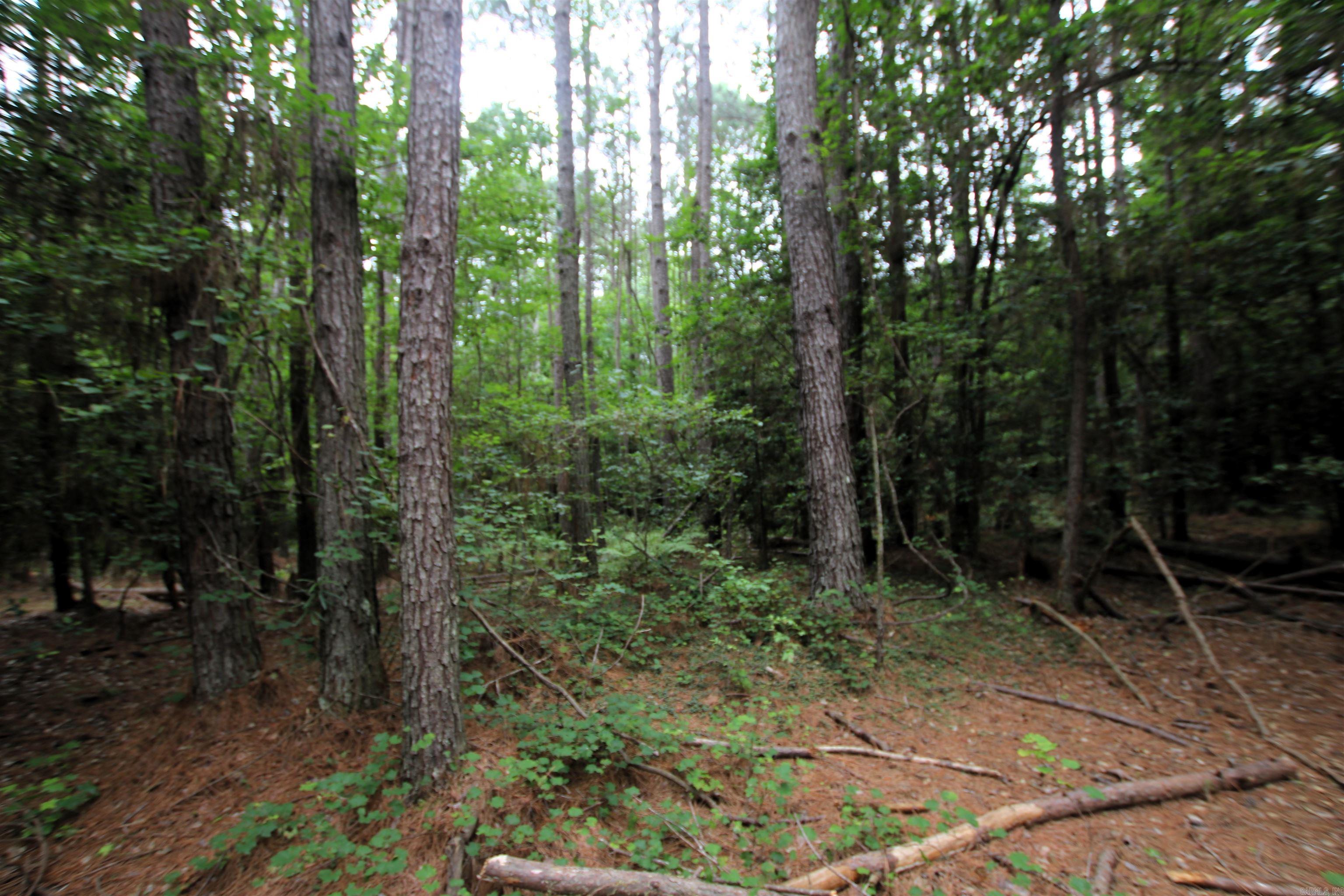 000 270  Malvern, AR