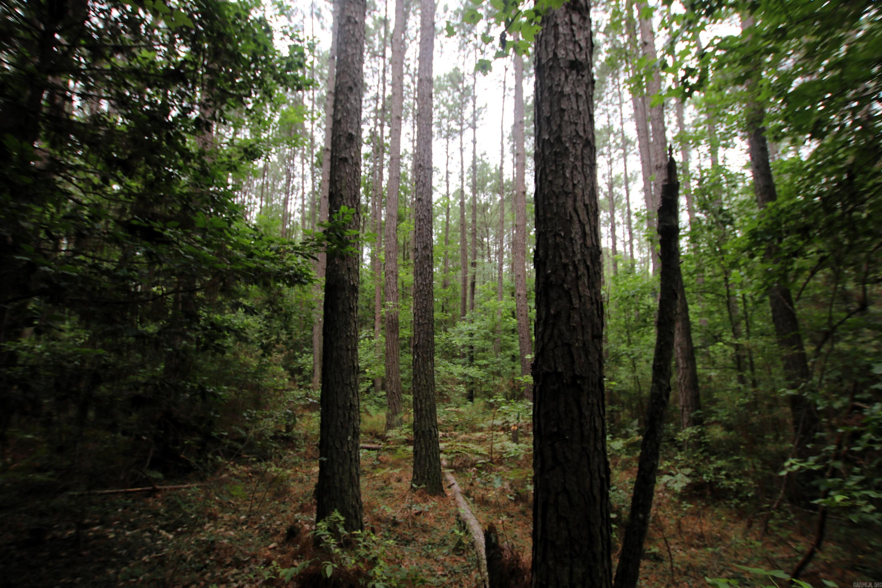 000 270  Malvern, AR