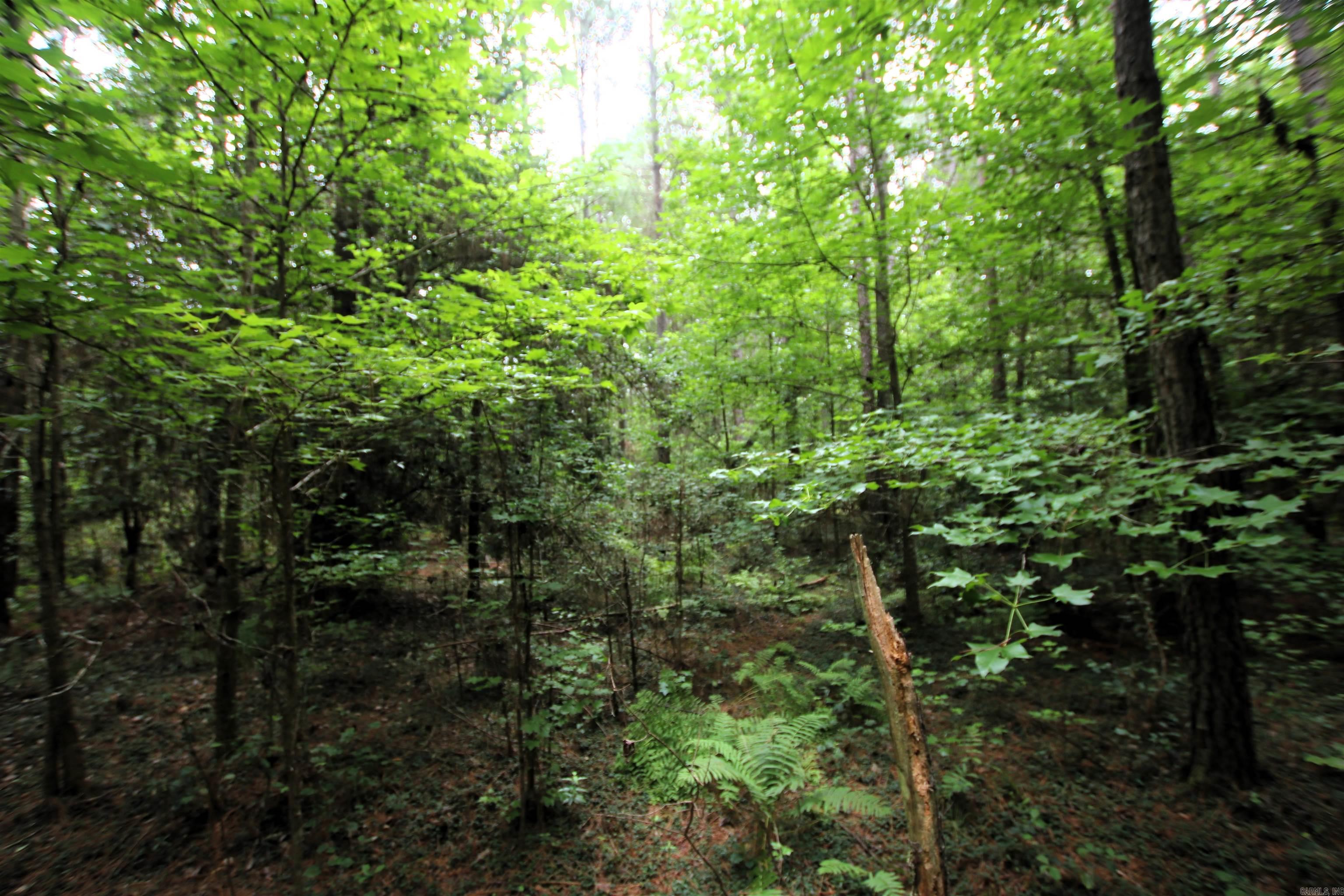 000 270  Malvern, AR