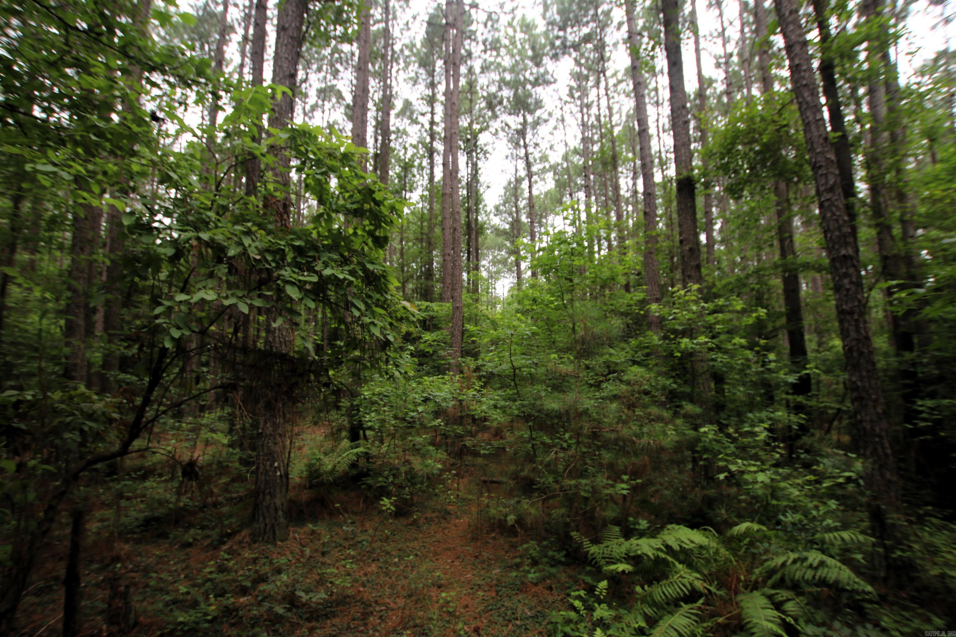 000 270  Malvern, AR