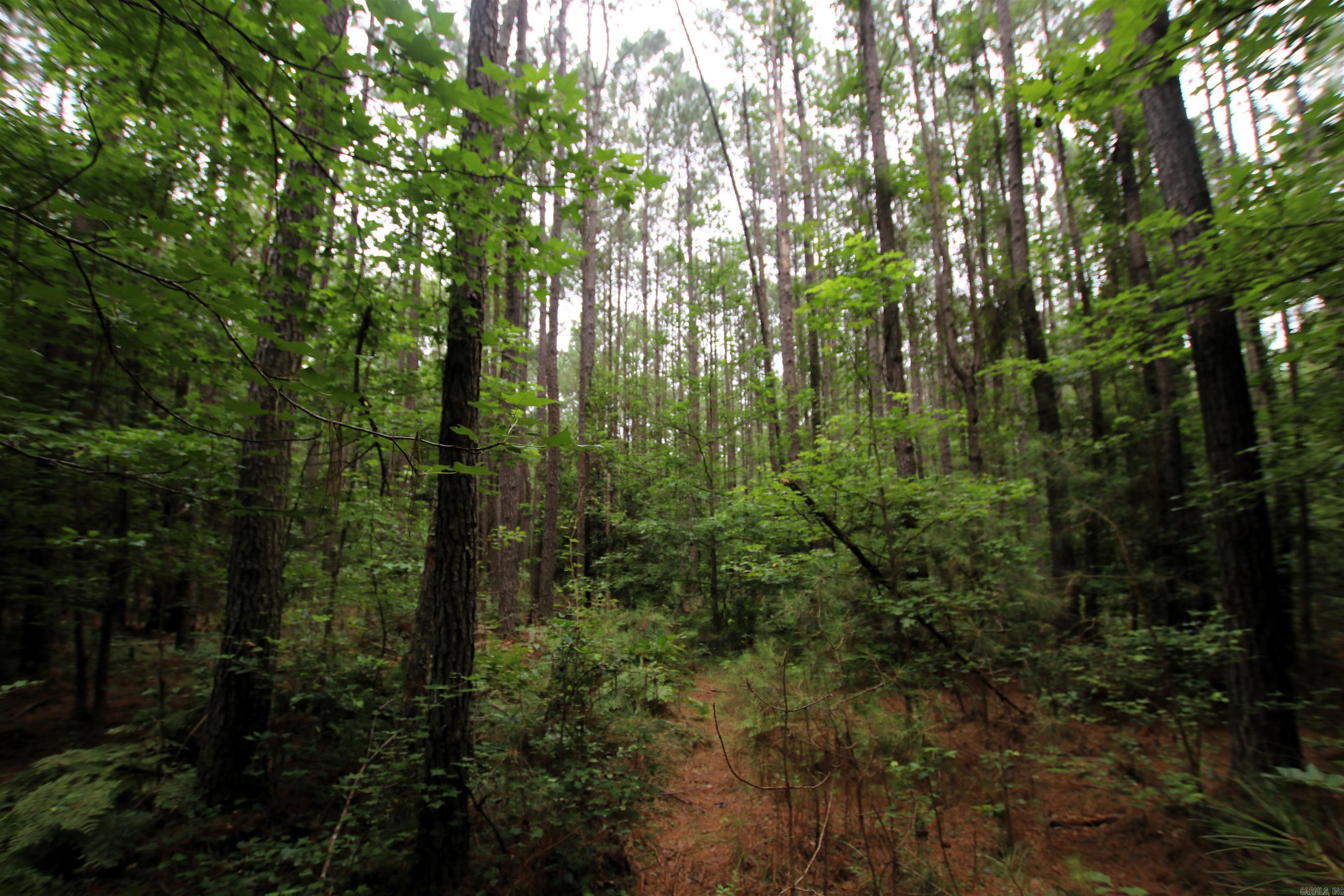 000 270  Malvern, AR