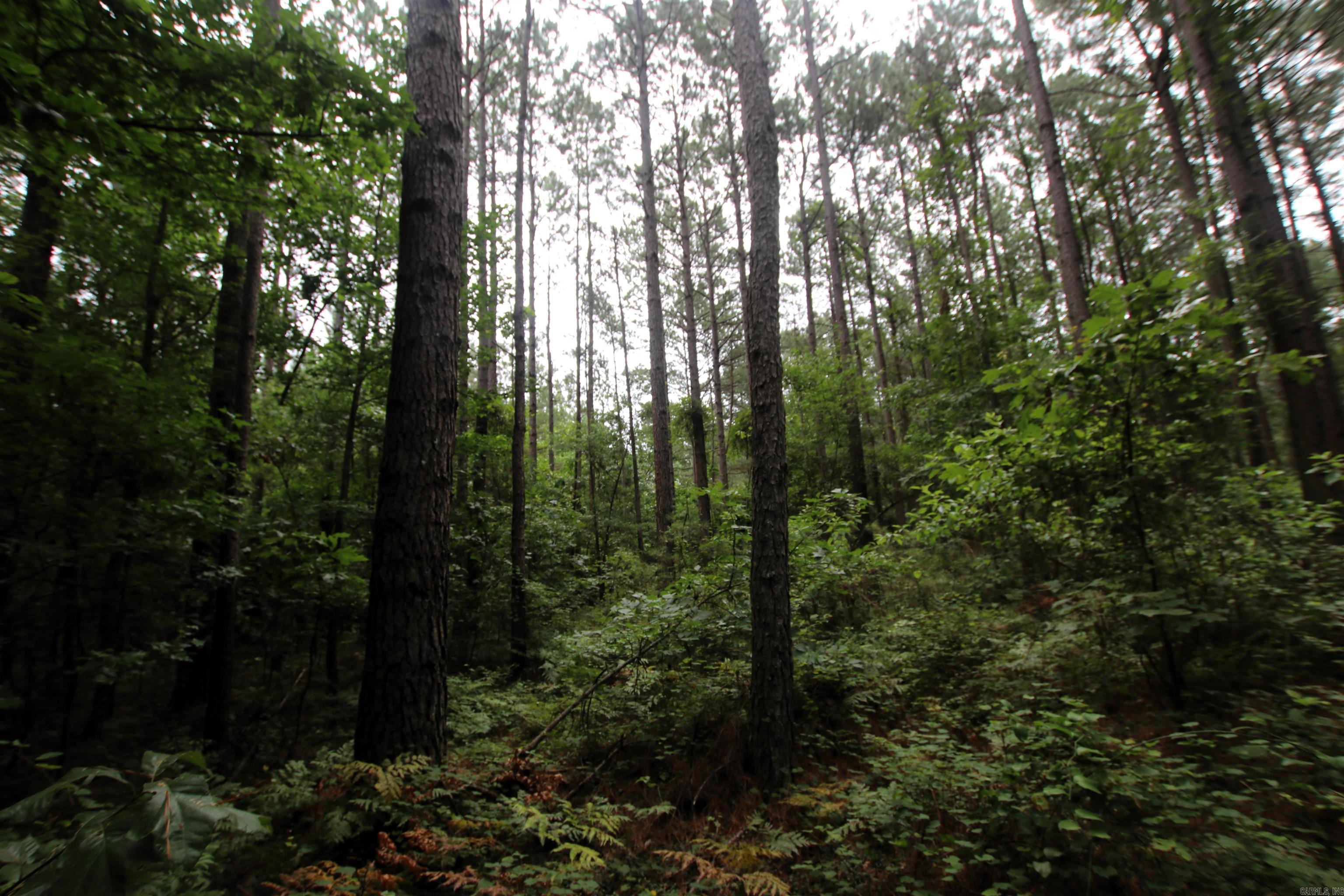 000 270  Malvern, AR