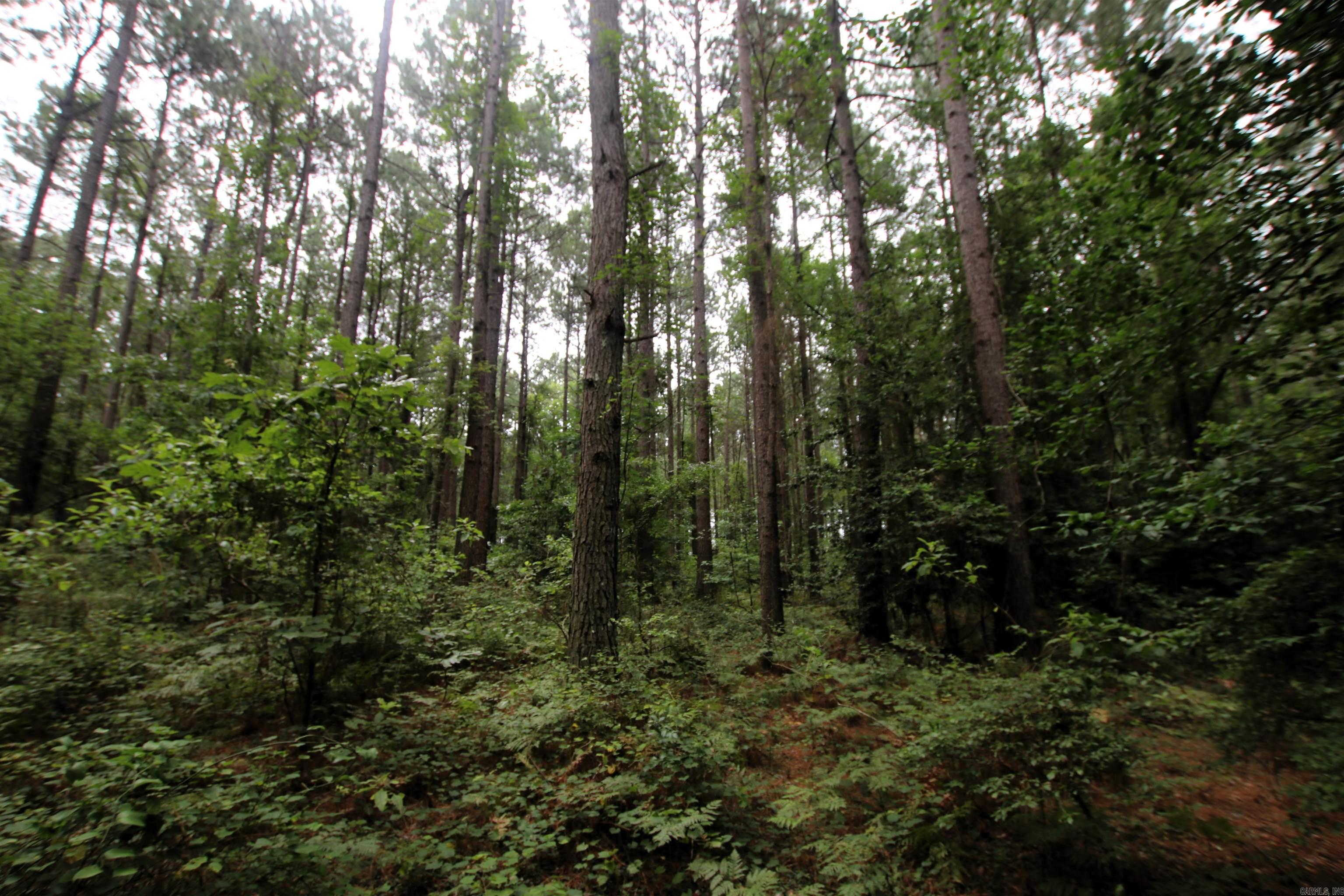 000 270  Malvern, AR