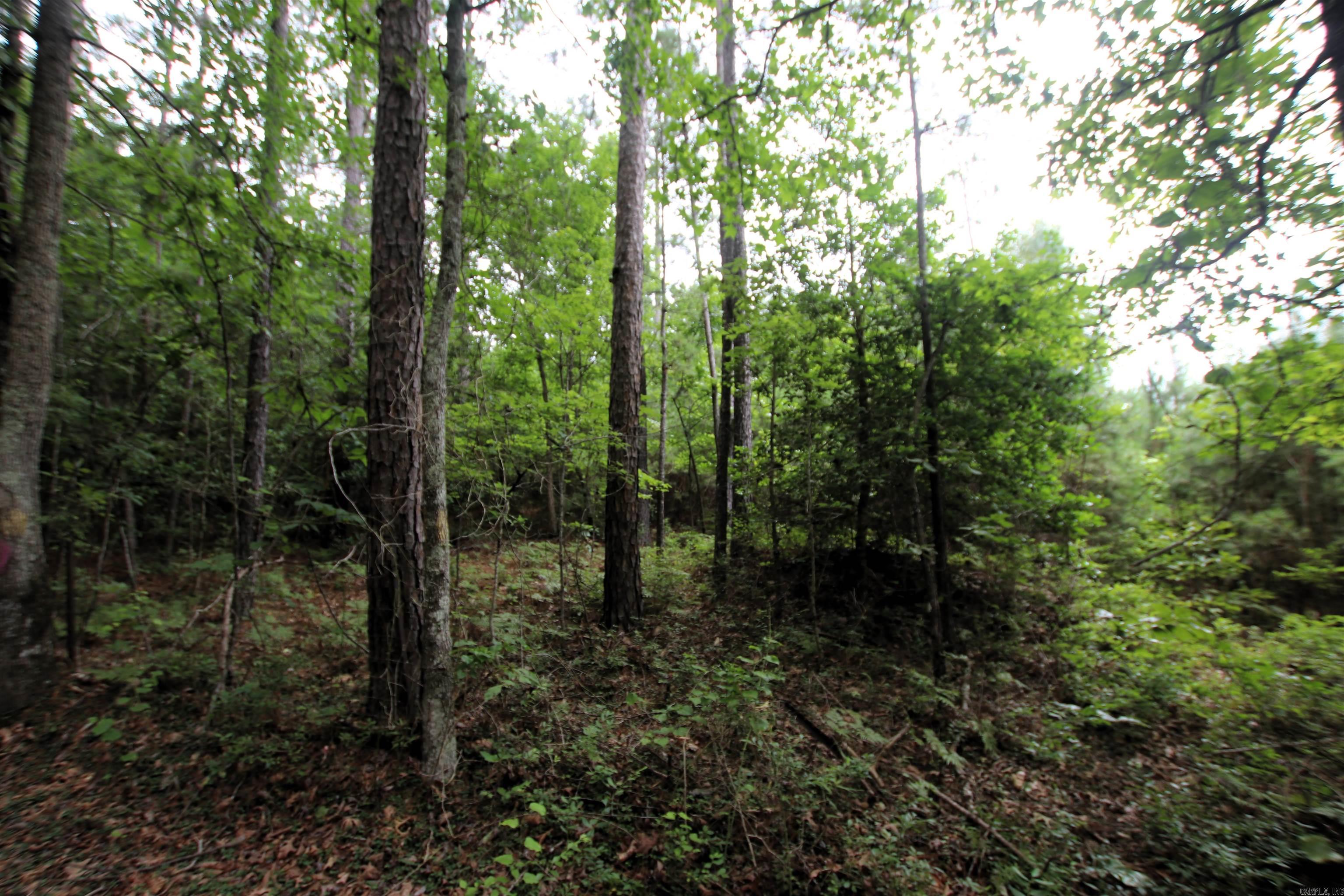 000 270  Malvern, AR