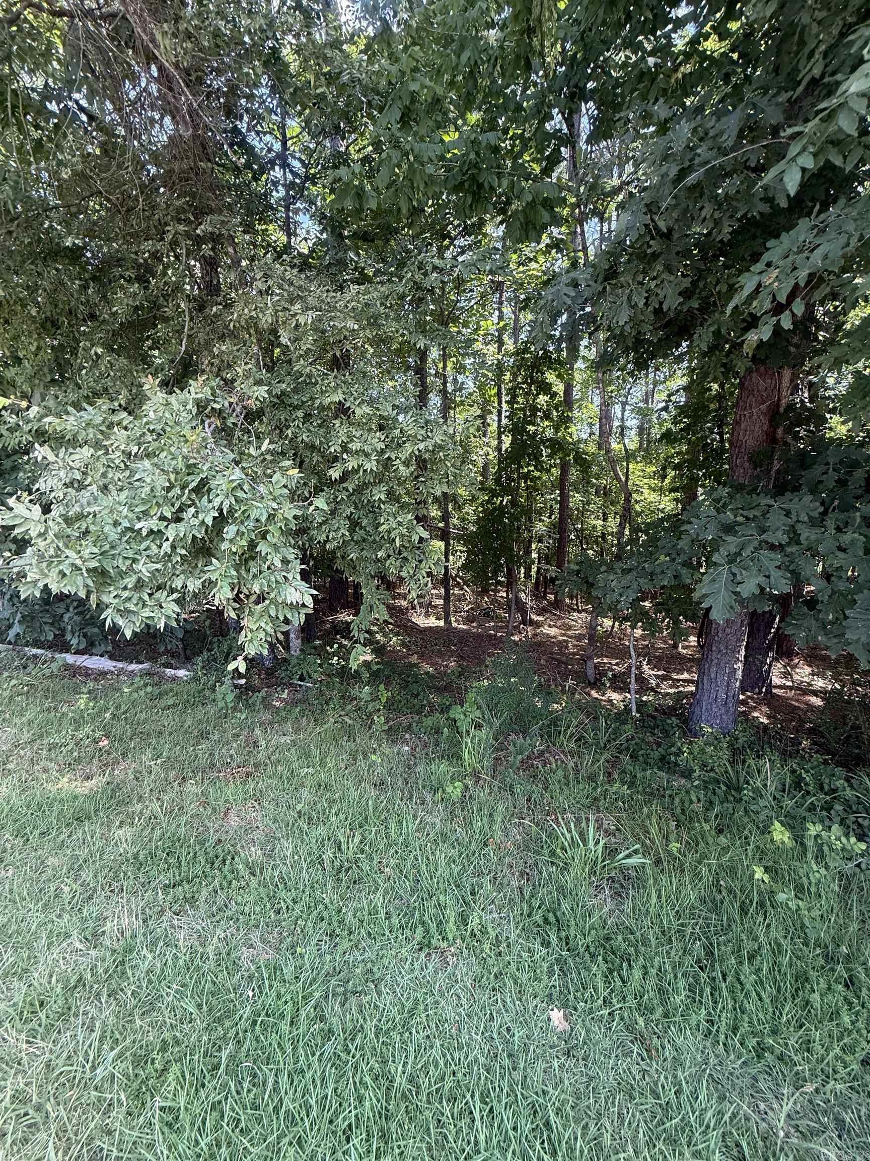 27 Elcano  Hot Springs Village, AR