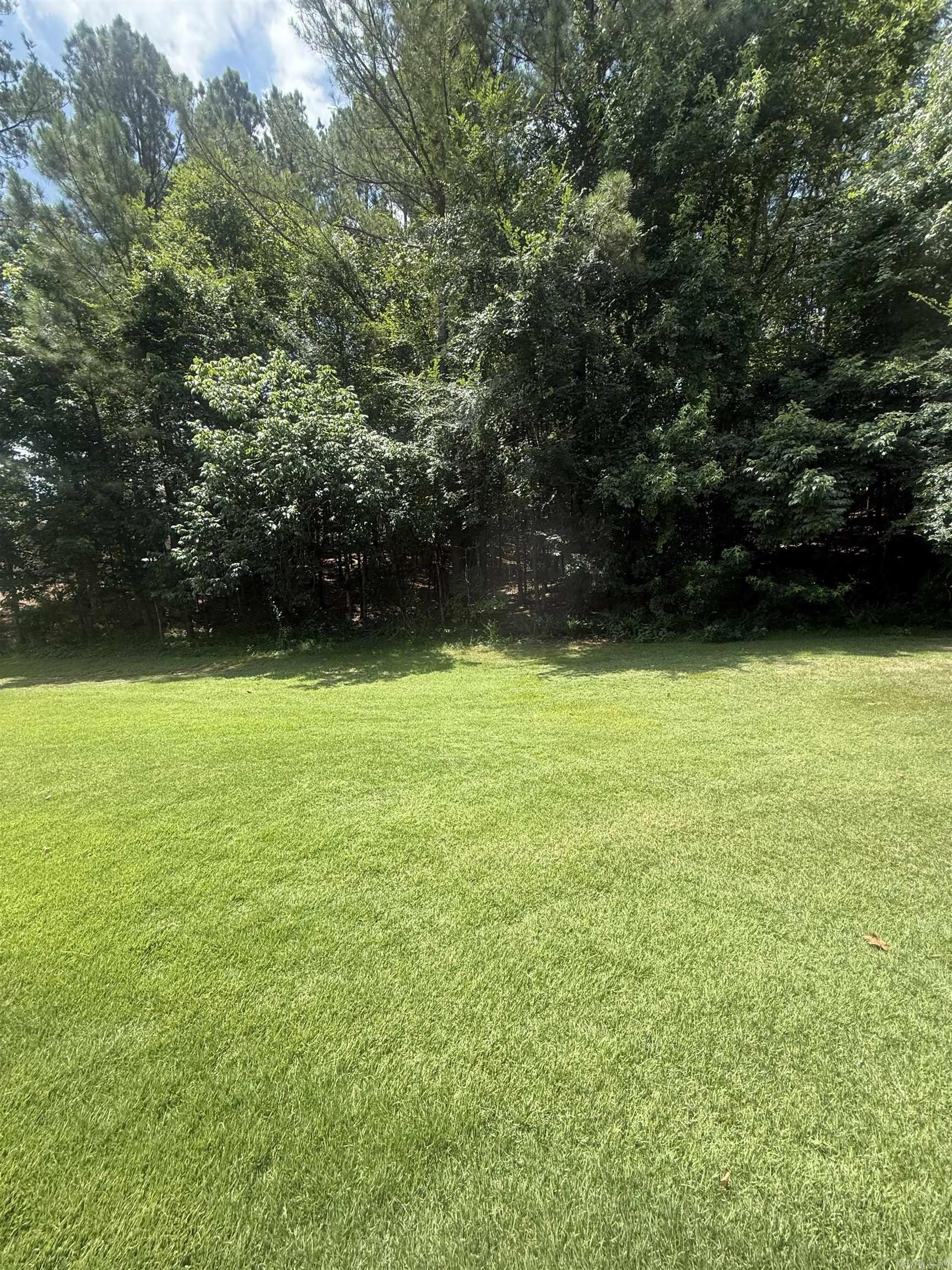 27 Elcano  Hot Springs Village, AR