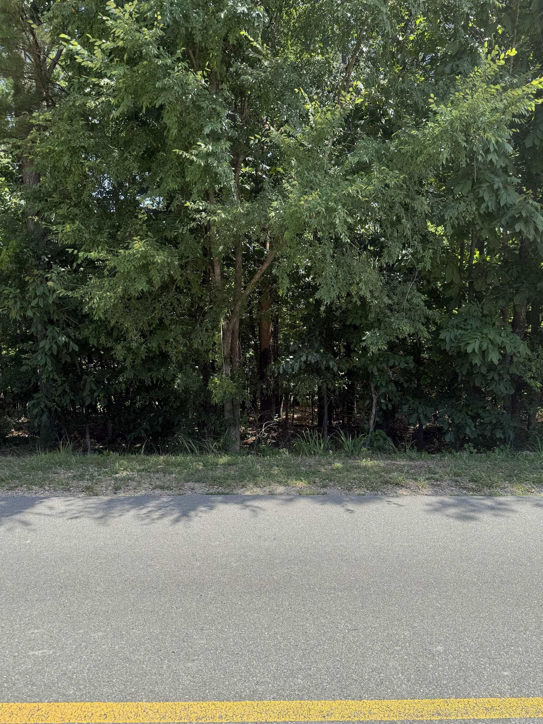 27 Elcano  Hot Springs Village, AR