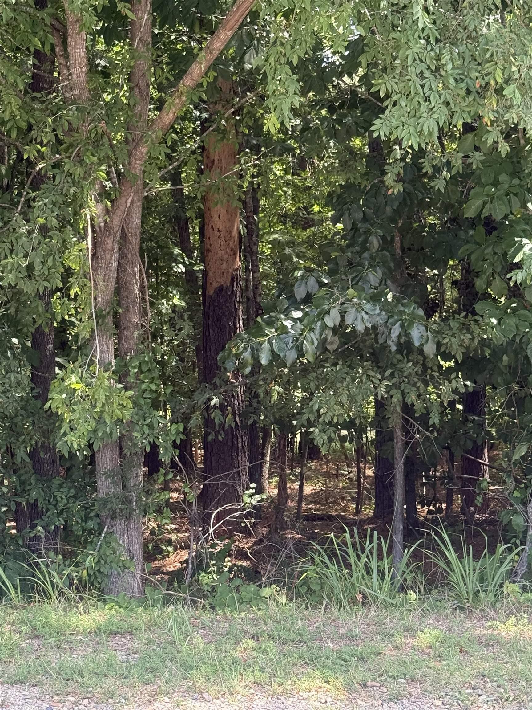 27 Elcano  Hot Springs Village, AR