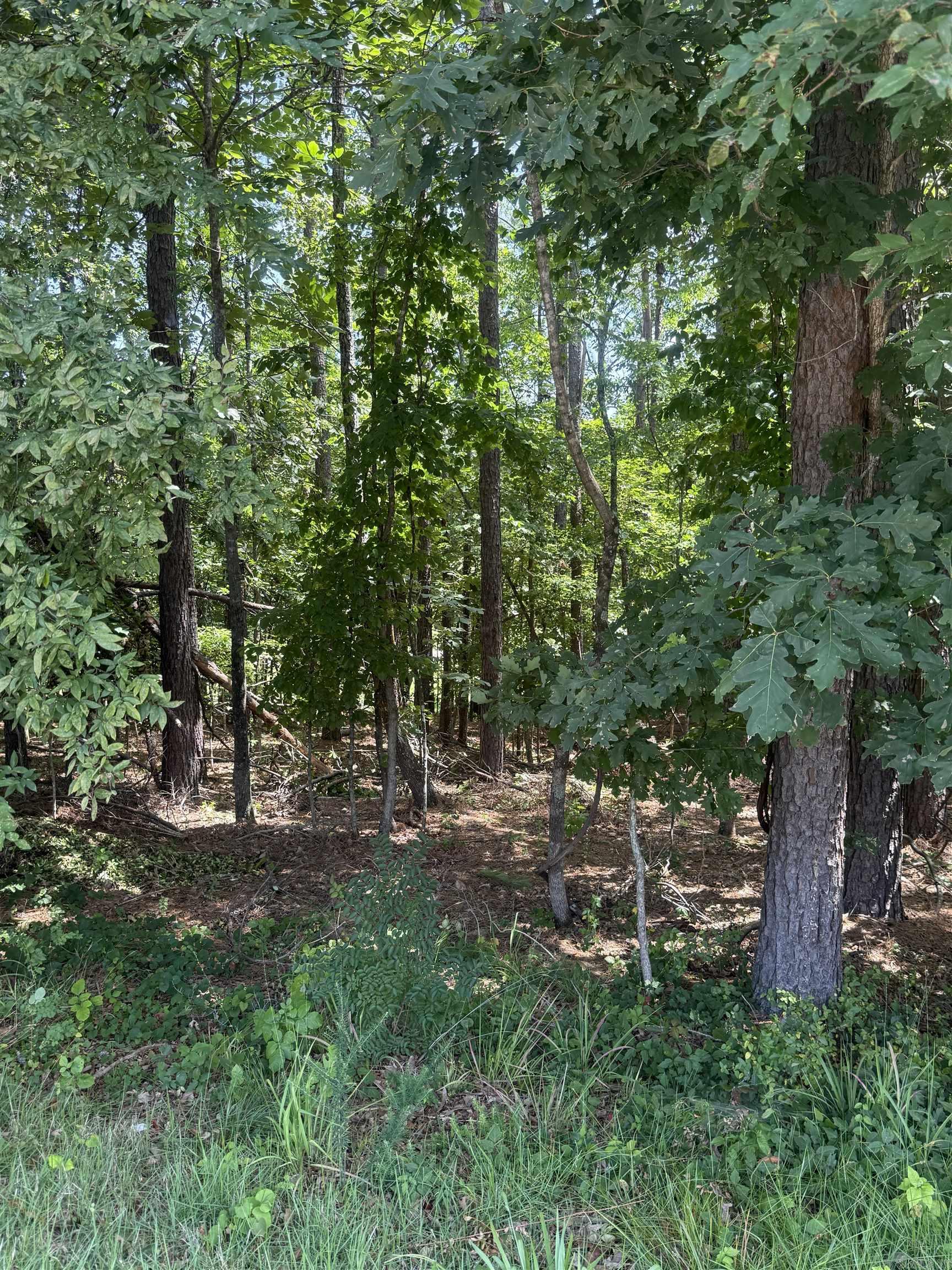 27 Elcano  Hot Springs Village, AR