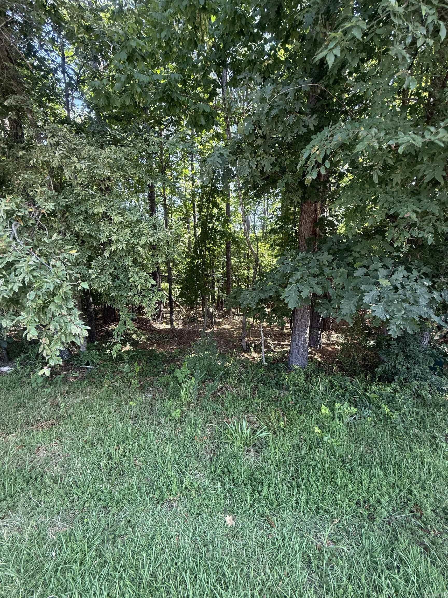 27 Elcano  Hot Springs Village, AR