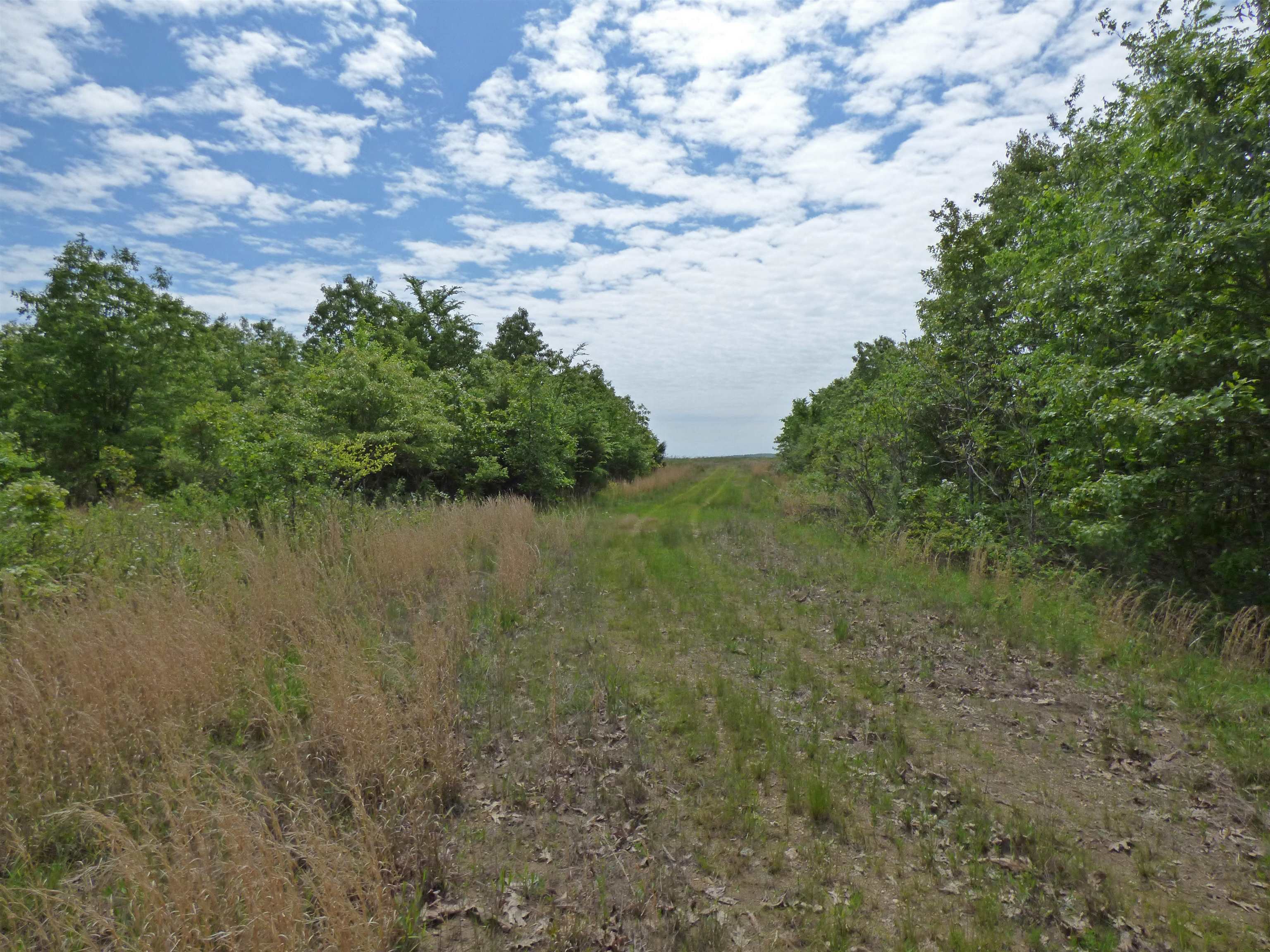  Herron  Ash Flat, AR