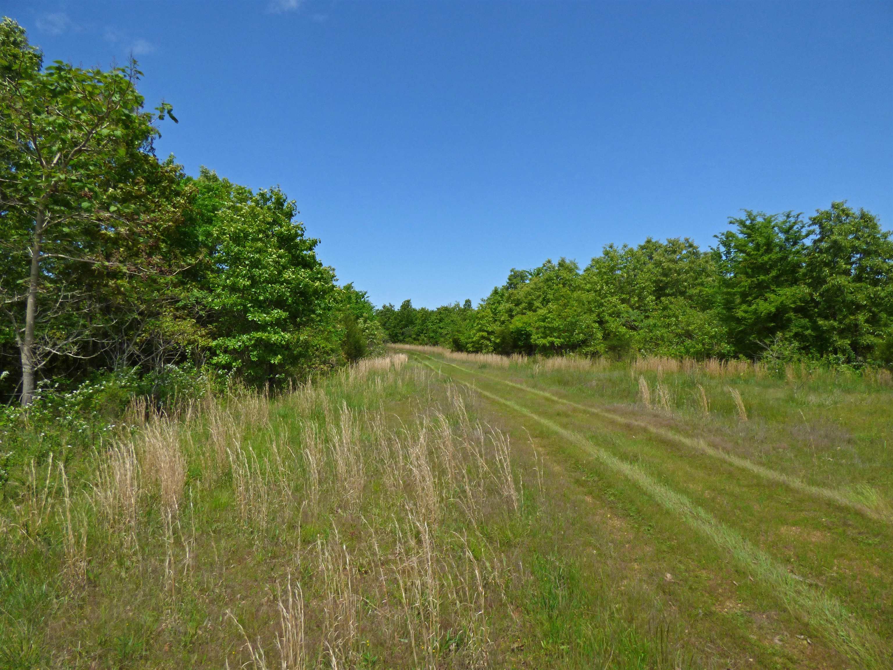  Herron  Ash Flat, AR