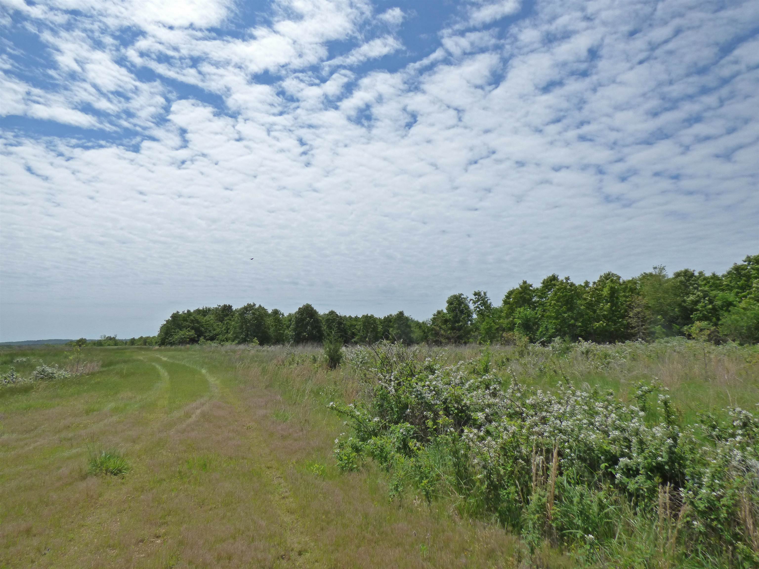  Herron  Ash Flat, AR