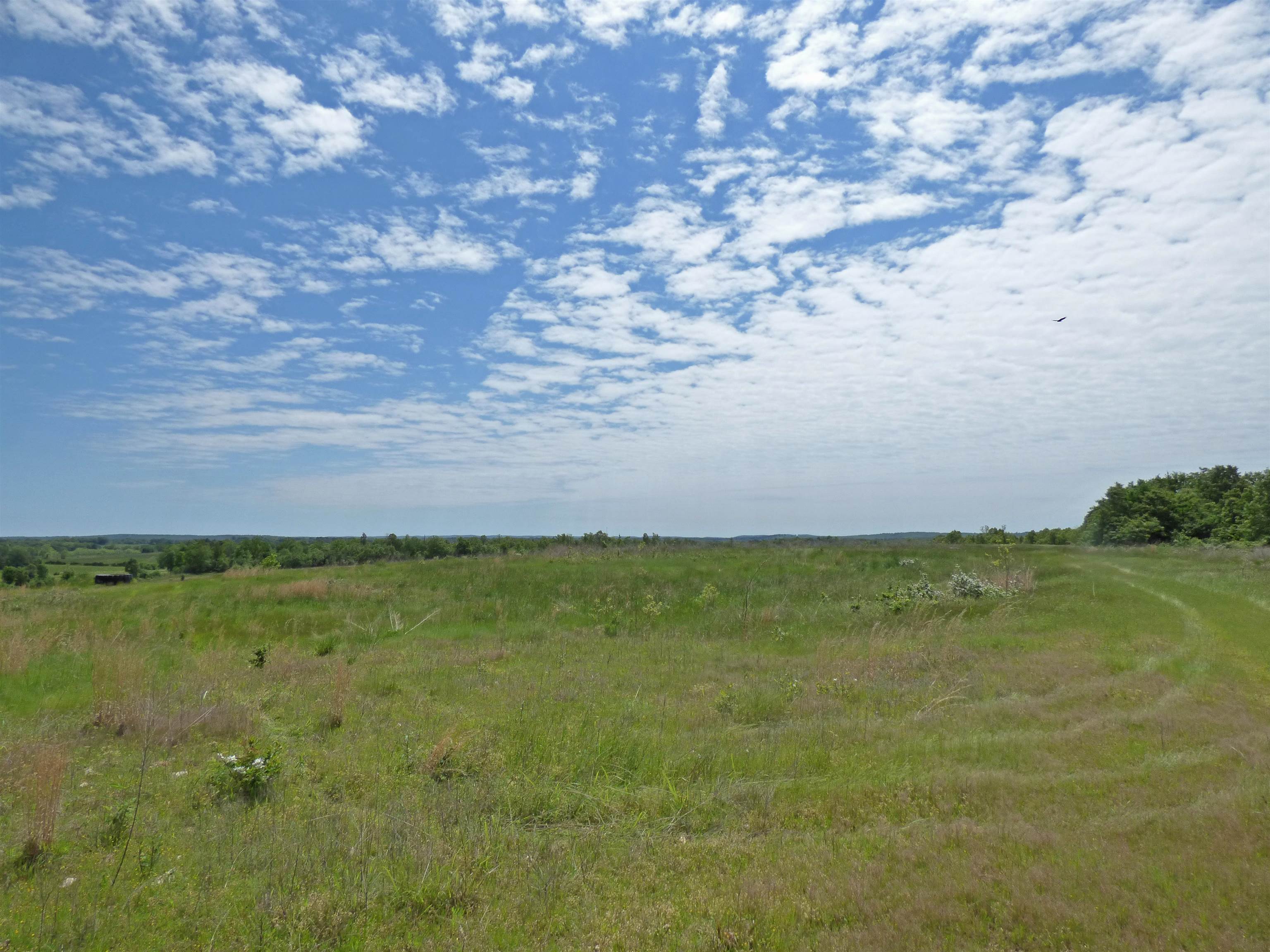  Herron  Ash Flat, AR