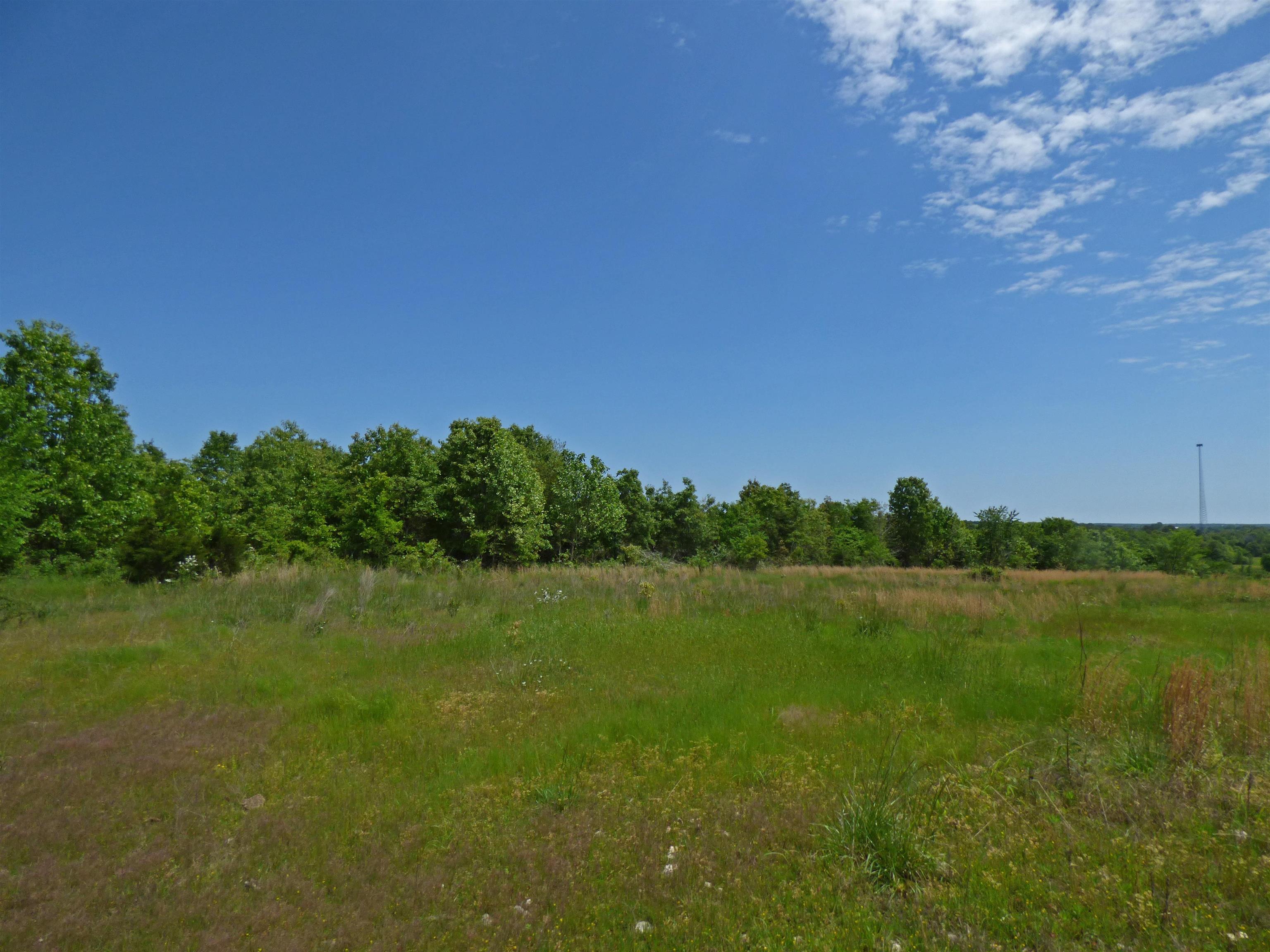  Herron  Ash Flat, AR