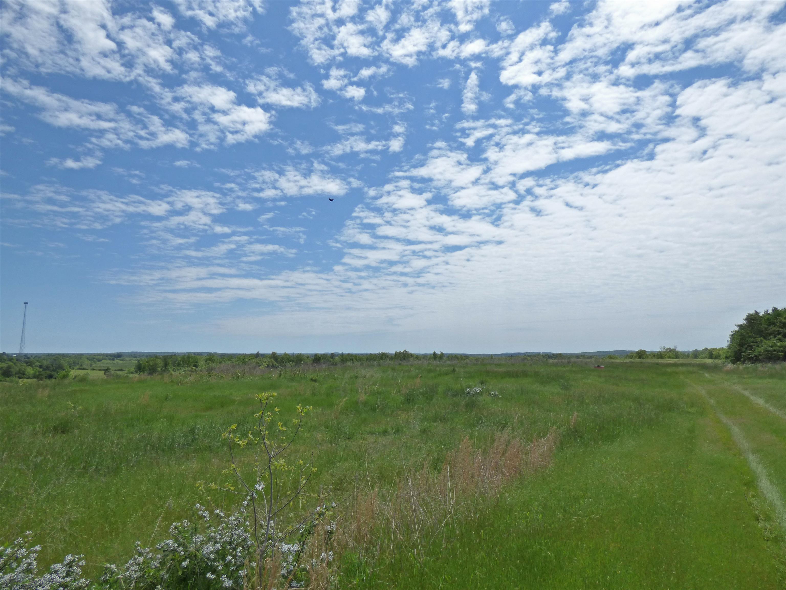  Herron  Ash Flat, AR